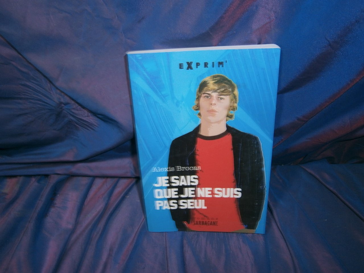 Je sais que je ne suis pas seul Novels & Short Stories