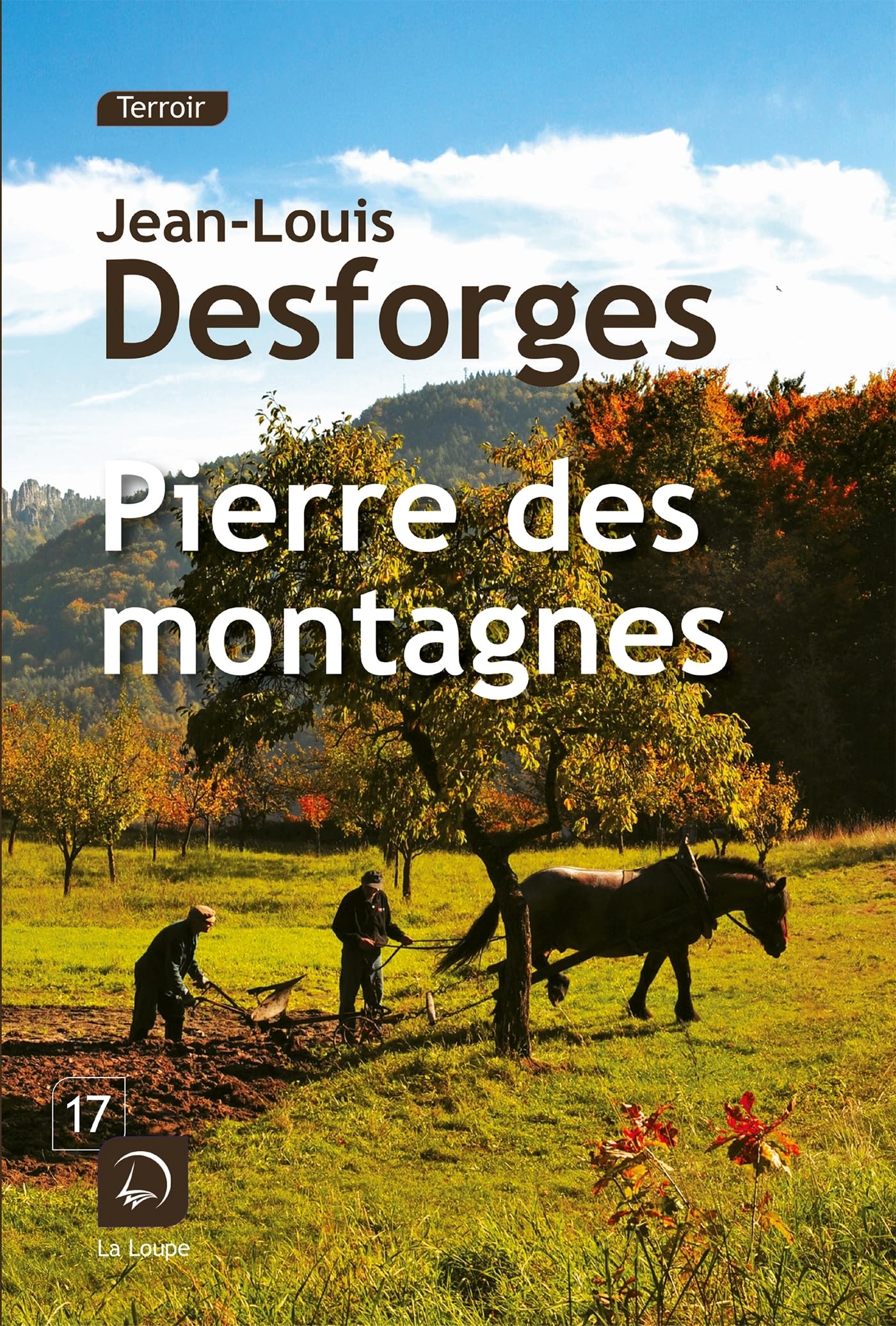 Pierre des montagnes book