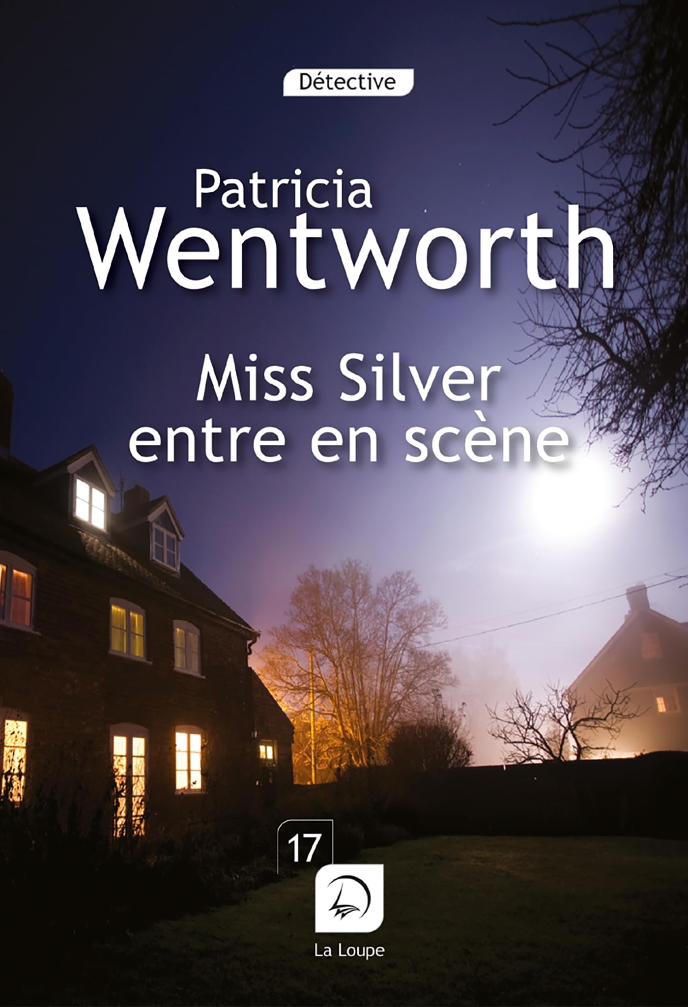 Miss Silver entre en scène Contemporary literature