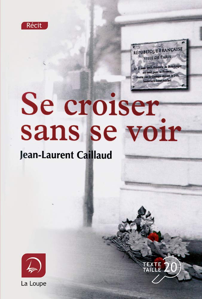 Se croiser sans se voir (Grands Caractères) Politics & History