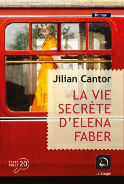 La vie secrète d'Elena Faber Contemporary literature