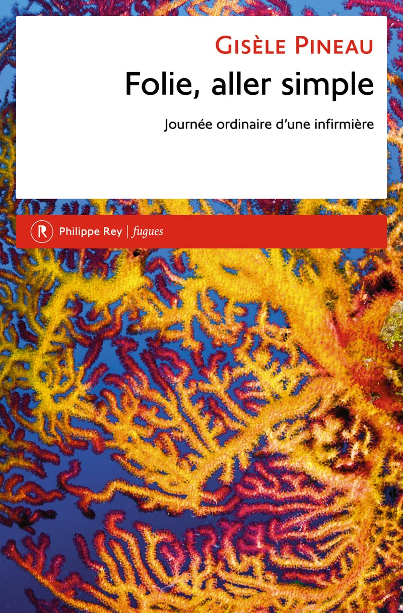 Folie, aller simple. Journée ordinaire d'une infirmière Contemporary literature