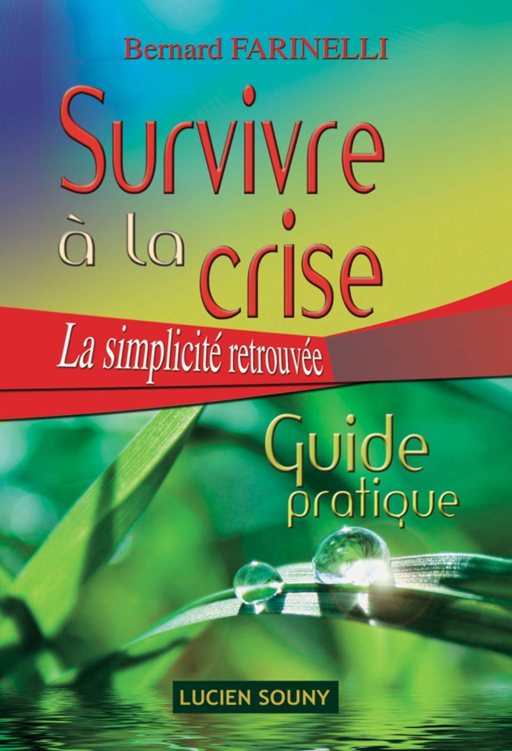 Survivre à la crise: La simplicité retrouvée, Guide pratique Books