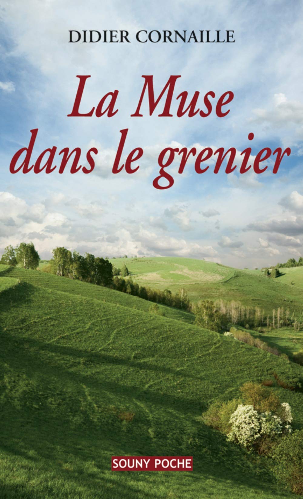La muse dans le grenier book