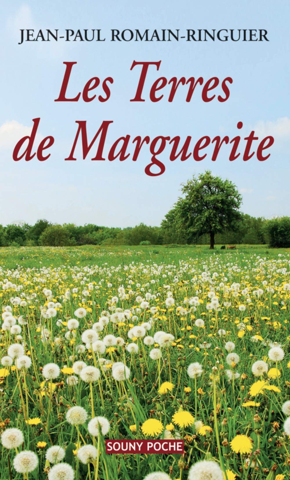 Les terres de Marguerite book