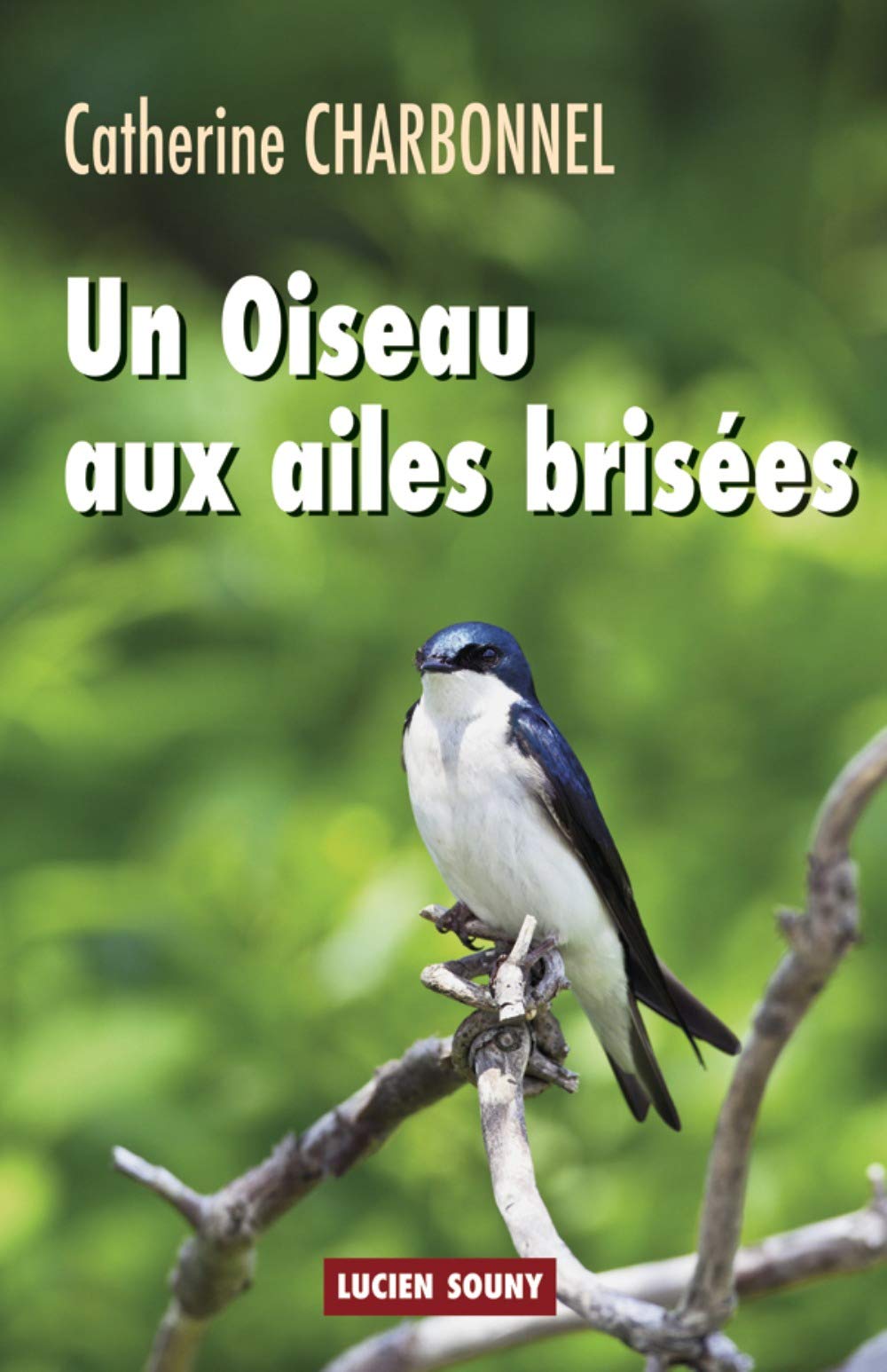 Un Oiseau aux ailes brisées book