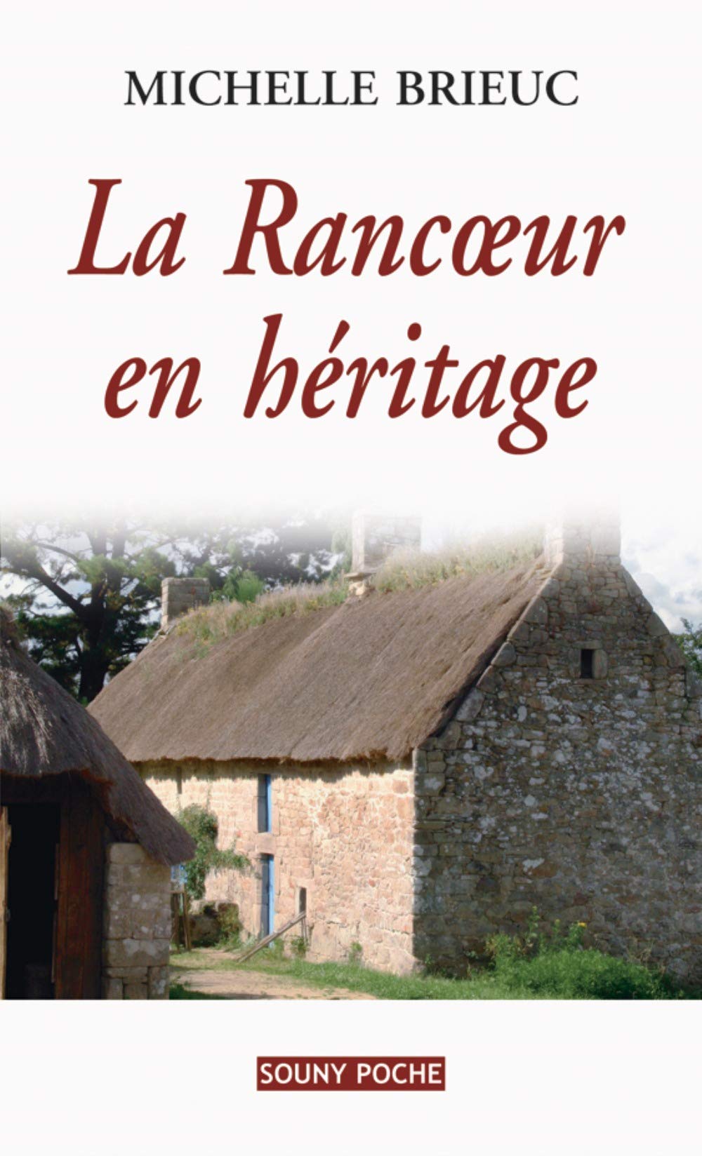 La Rancœur en Héritage (Poche) - 107 book