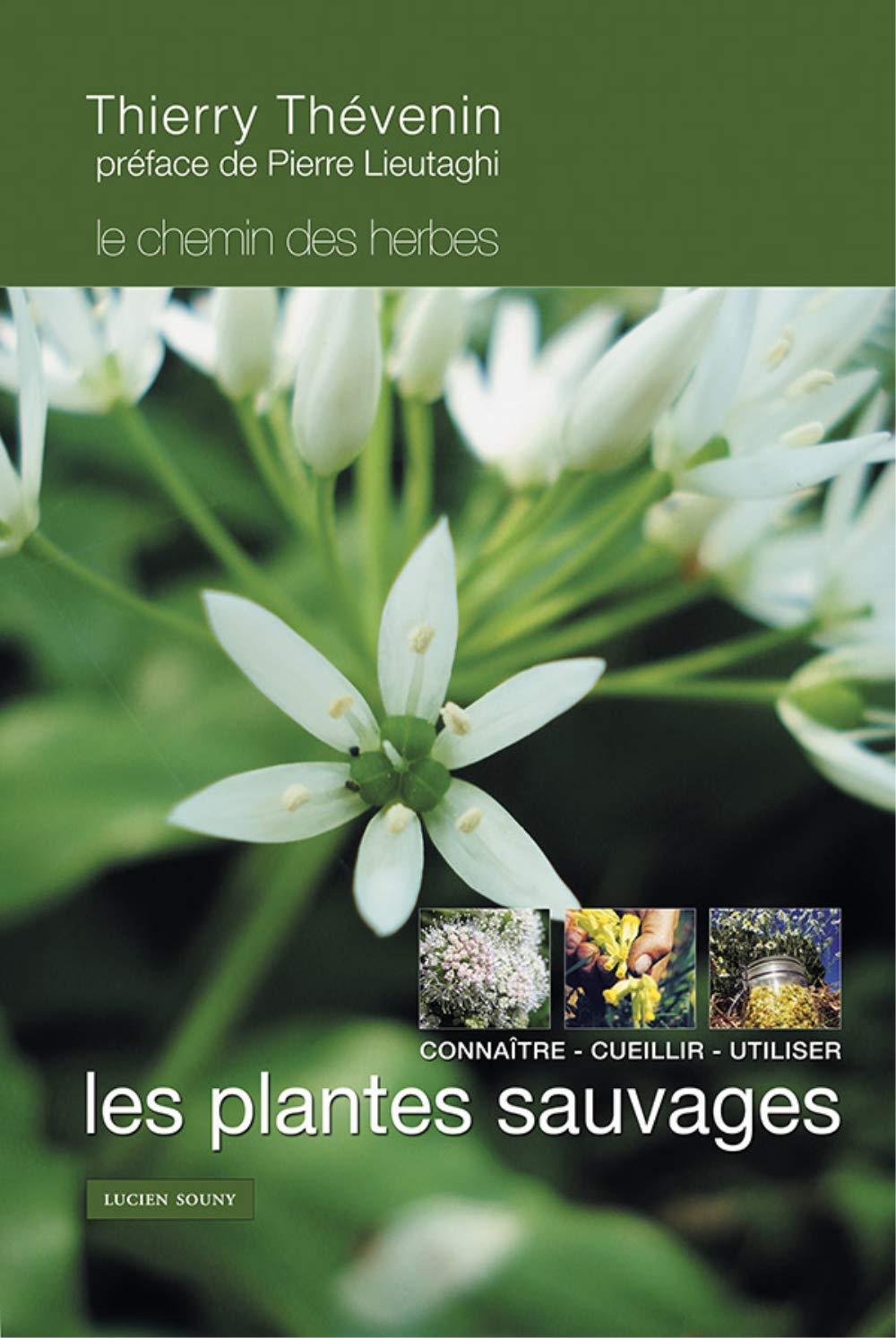 Les Plantes Sauvages (RV) : Le chemin des herbes book