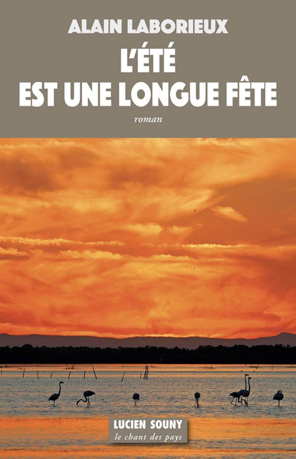 L'été est une longue fête book
