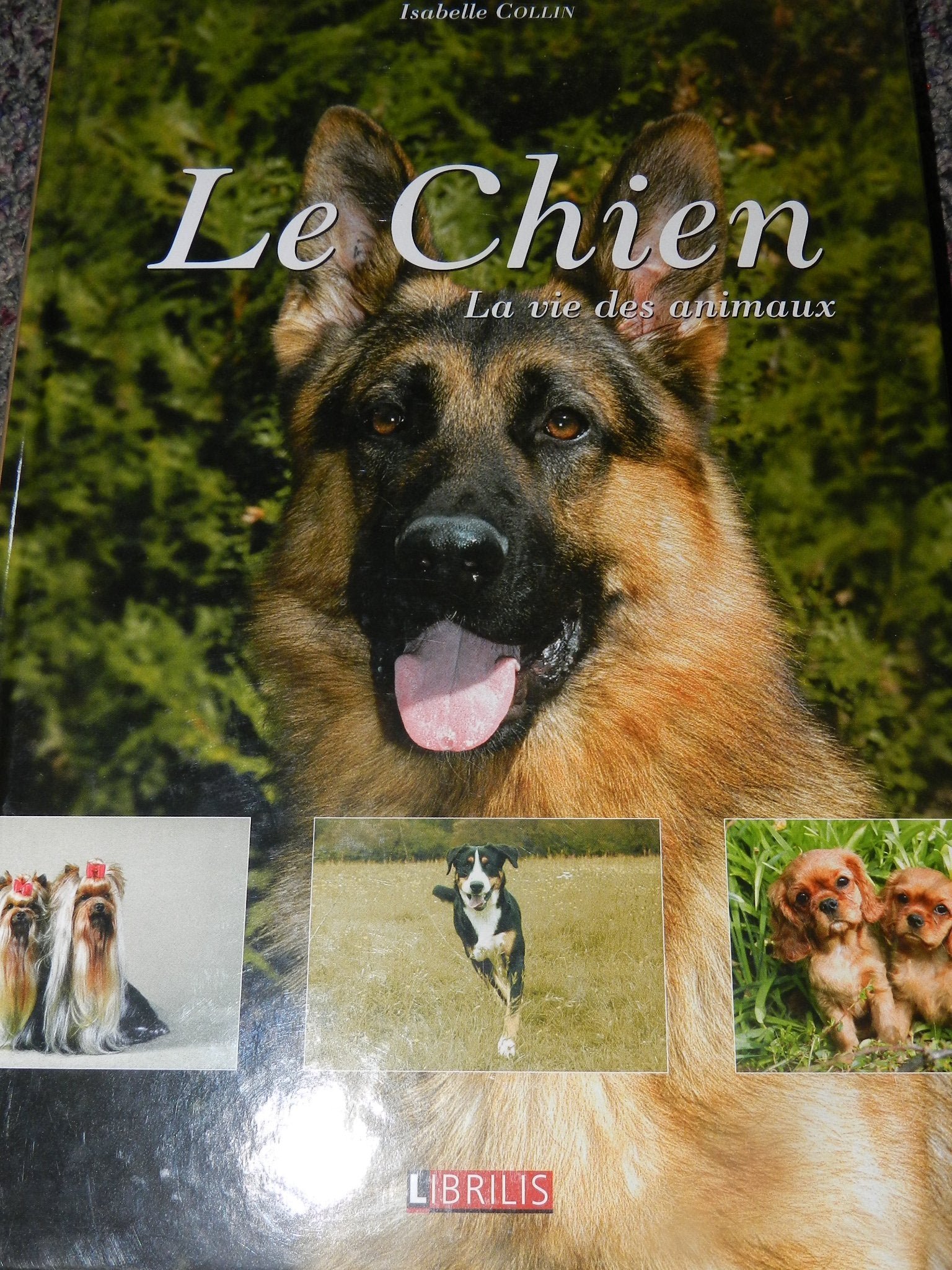 Le chien : La vie des animaux book