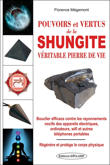 Pouvoirs et vertus de la shungite book