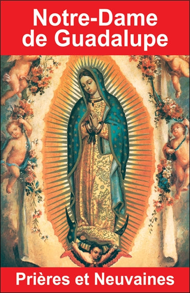 Notre-Dame de la Guadalupe : prières et neuvaines book