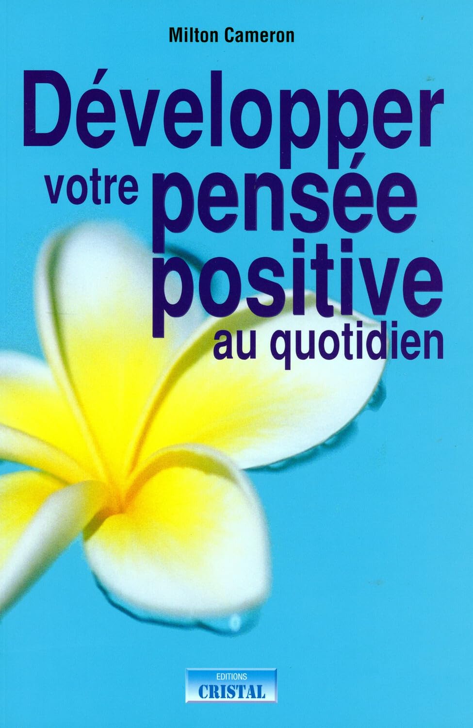 Développer votre pensée positive au quotidien book