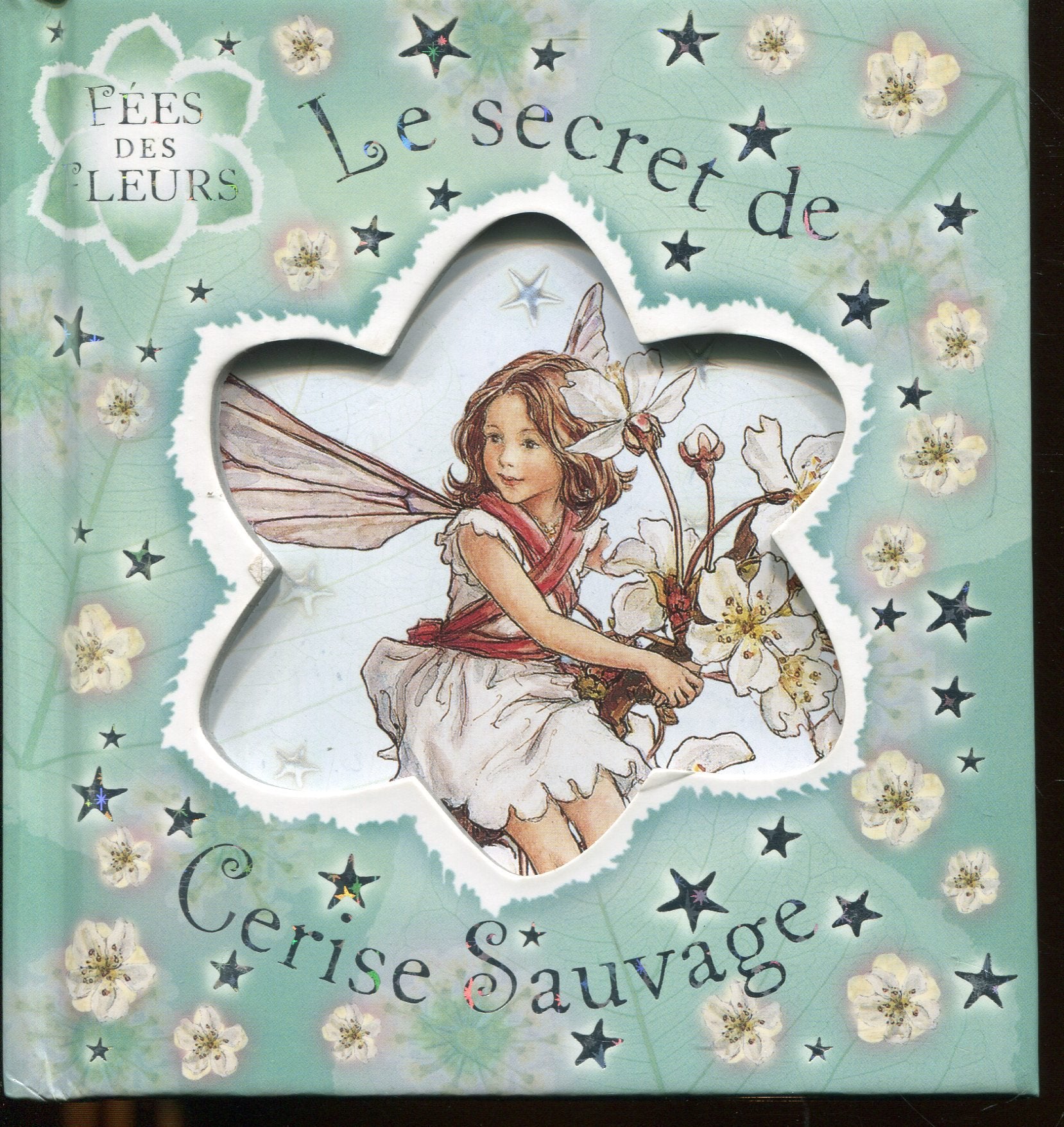 Le secret de Cerise Sauvage book