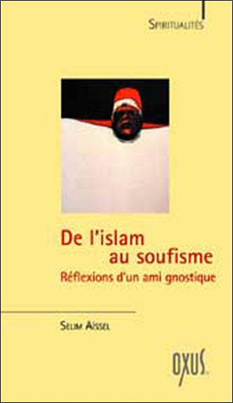 De l'islam au soufisme : réflexions d'un ami gnostique Books