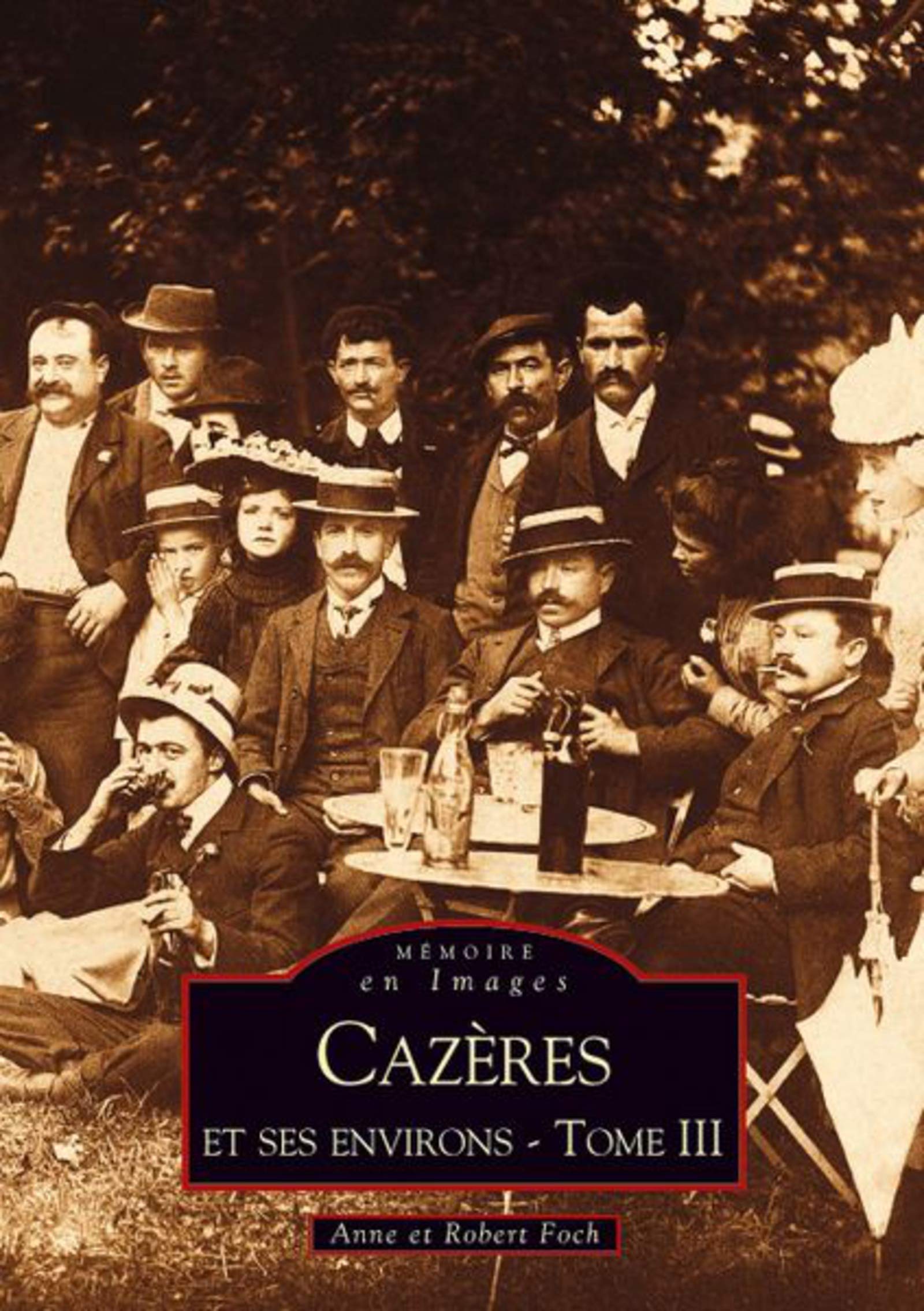 Cazères et ses environs - Tome III book