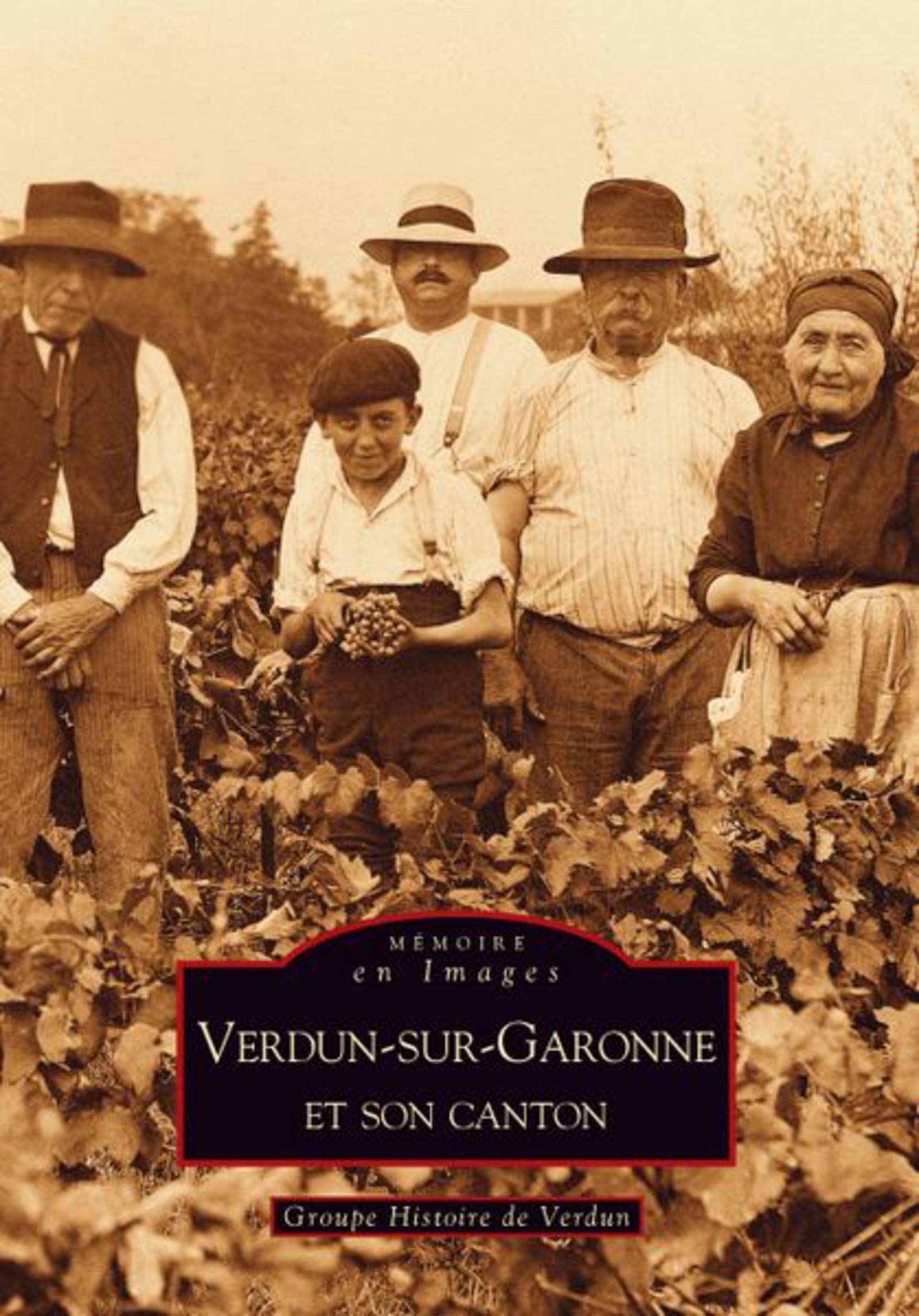 Verdun-sur-Garonne et son canton book