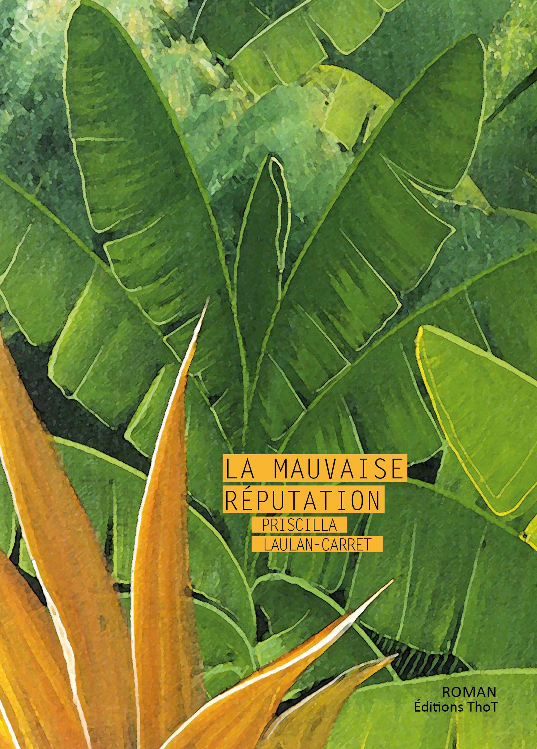 La mauvaise réputation book