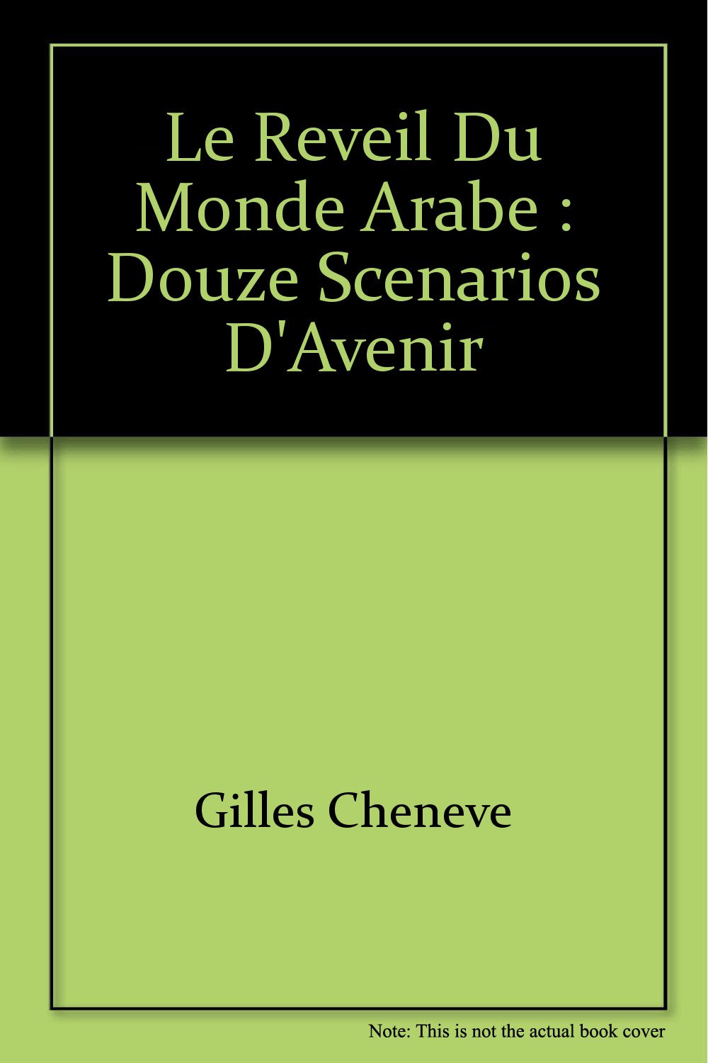 Le reveil du monde arabe : douze scenarios d'avenir book