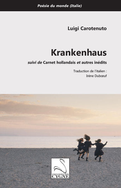 Krankenhaus. Carnet hollandais : et autres inédits book