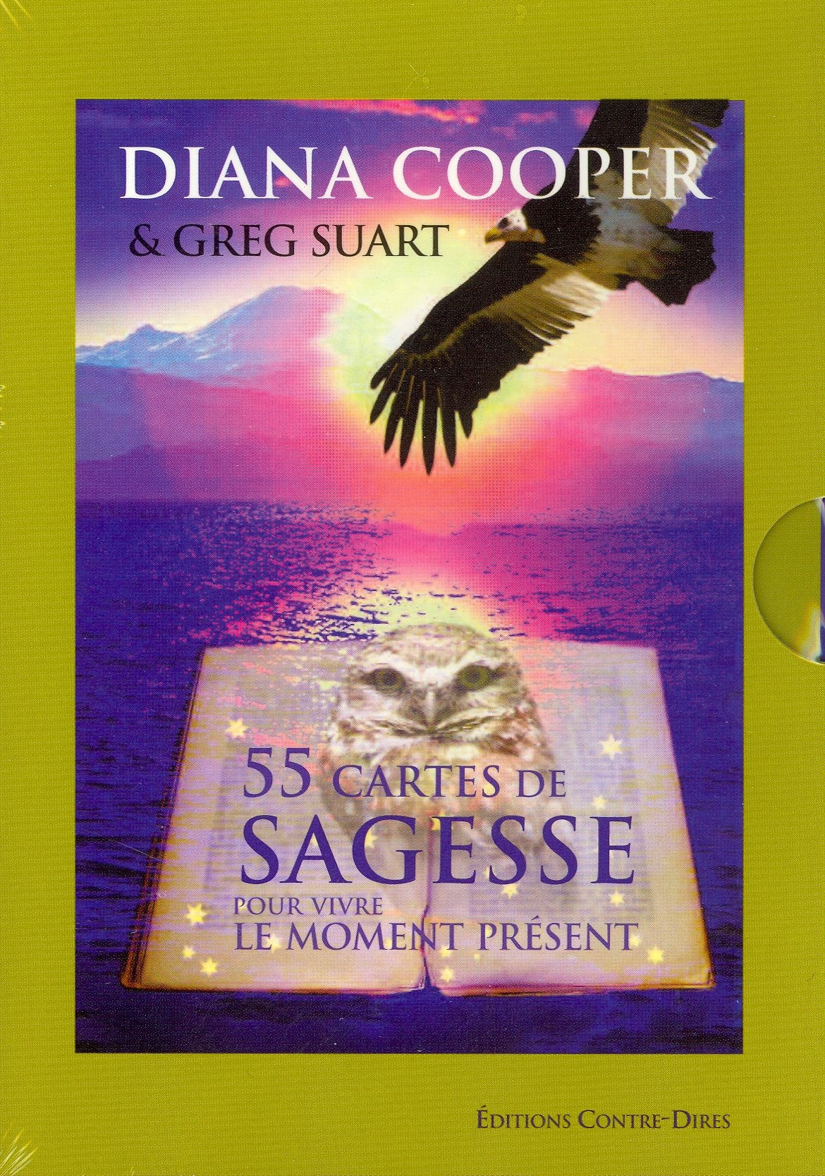 55 cartes de sagesse pour vivre le moment présent book