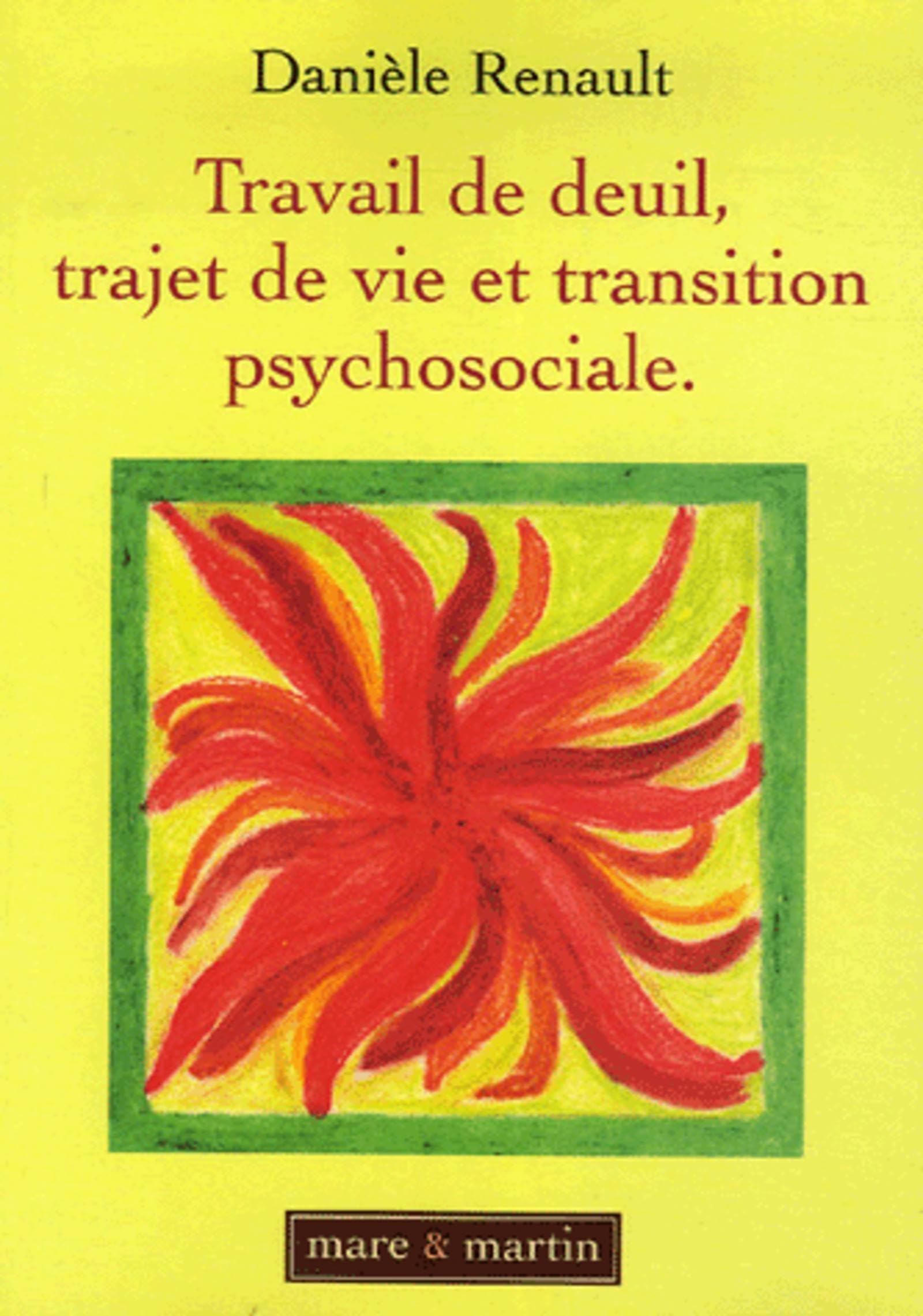 Travail de deuil, trajet de vie et transition psychosociale: Les enjeux bio-cognitifs d'un accompagnement. book