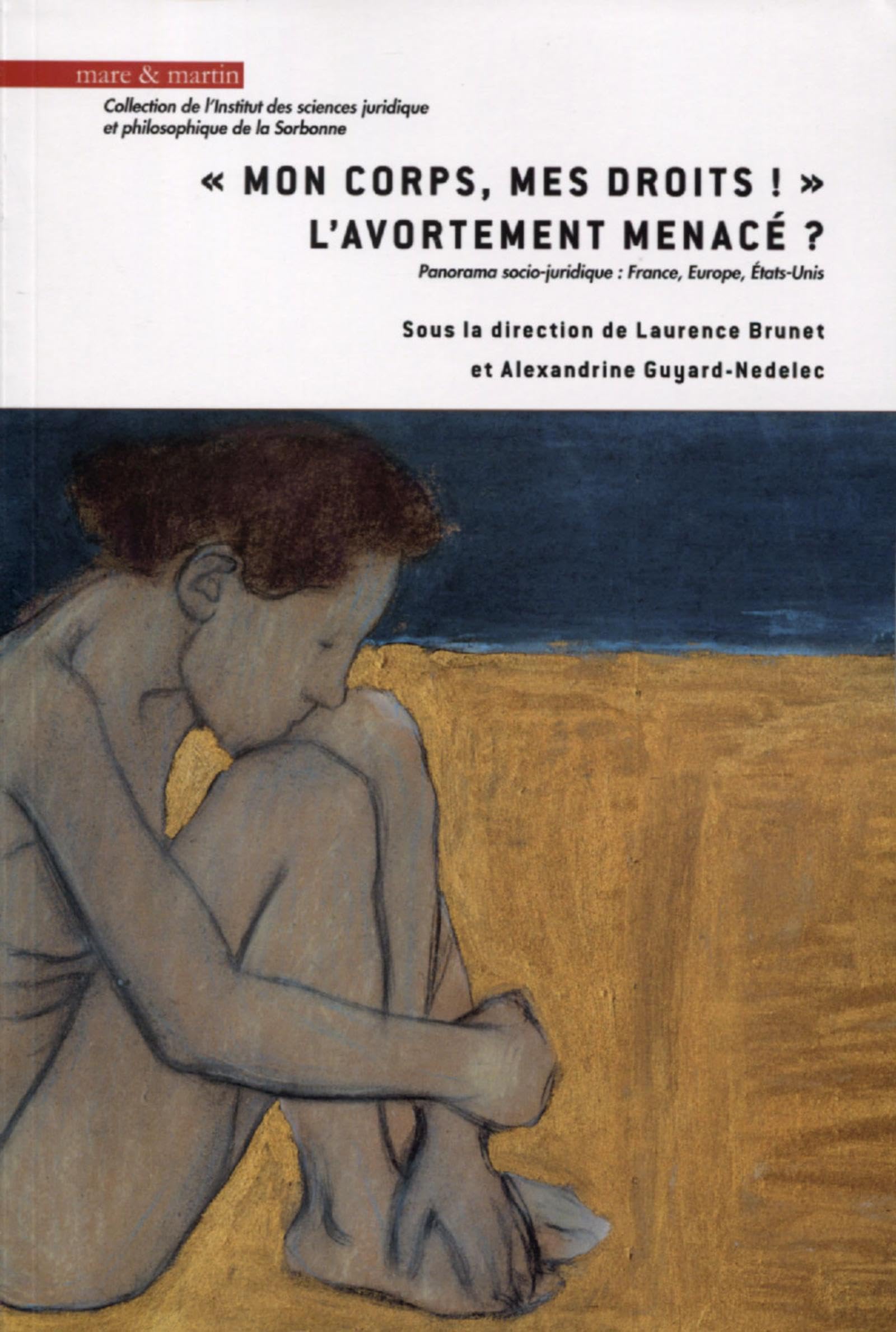 Mon corps, mes droits ! l'avortement menacé ?: Panorama socio-juridique : France, Europe, États-Unis book