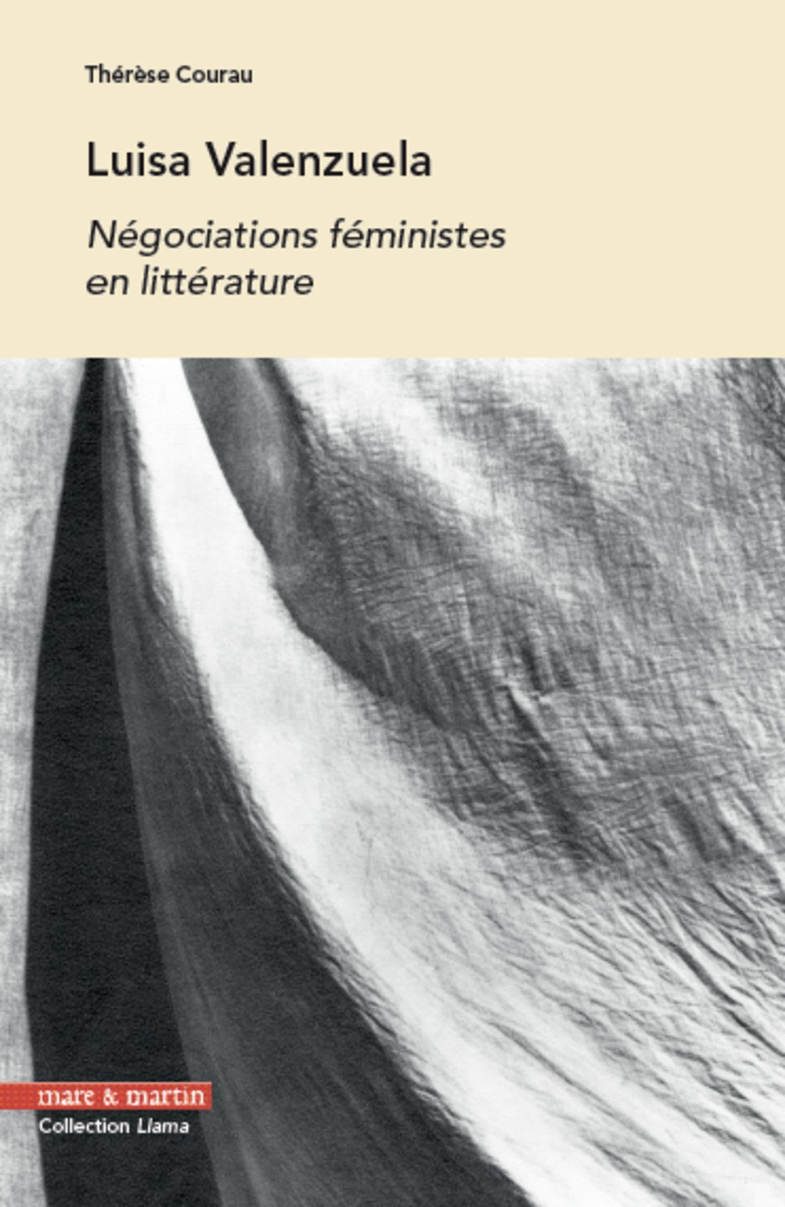 Luisa Valenzuela: Négociations féministes en littérature Books