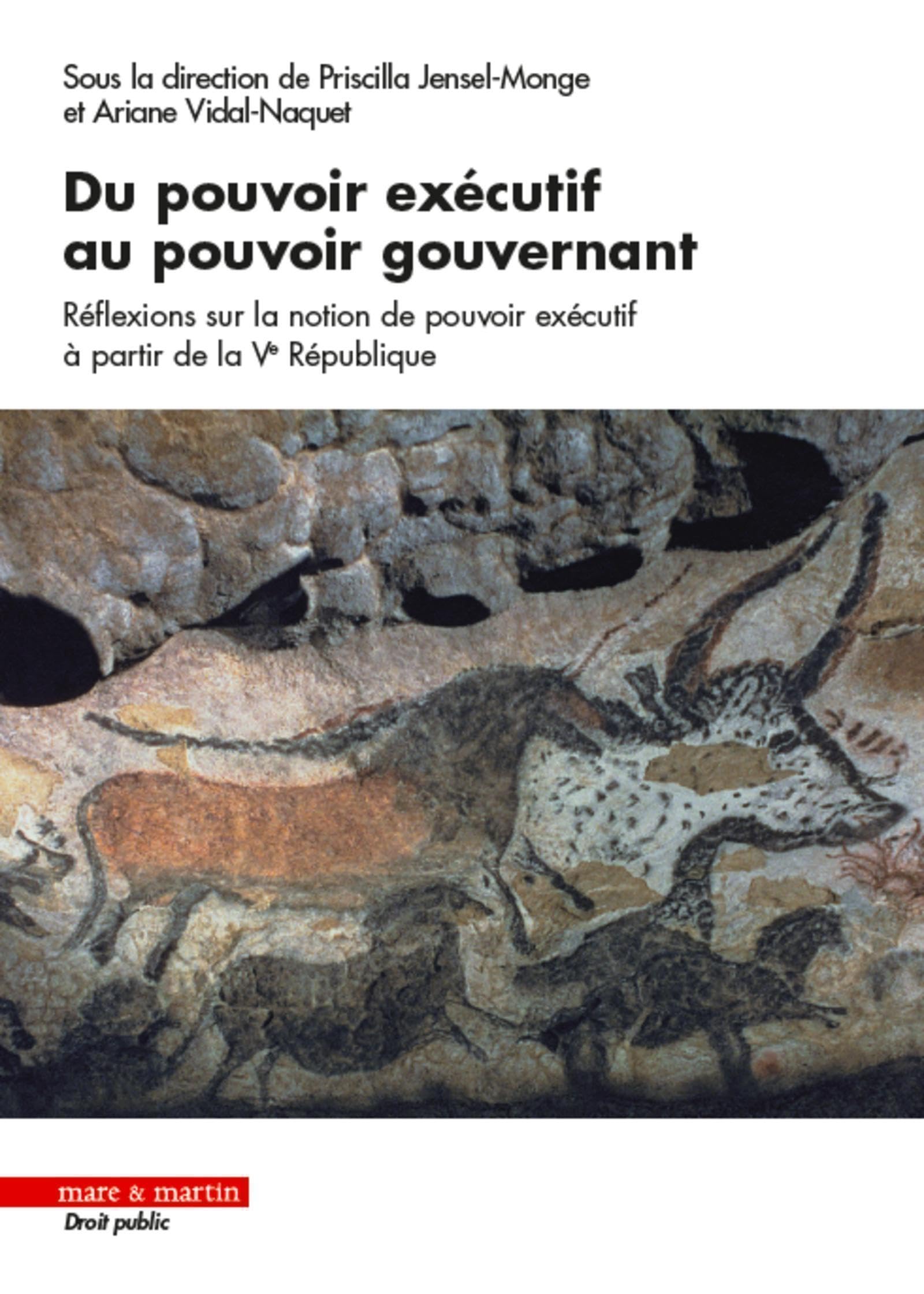 Du pouvoir exécutif au pouvoir gouvernant: Réflexions sur la notion de pouvoir exécutif à partir de la Ve République book