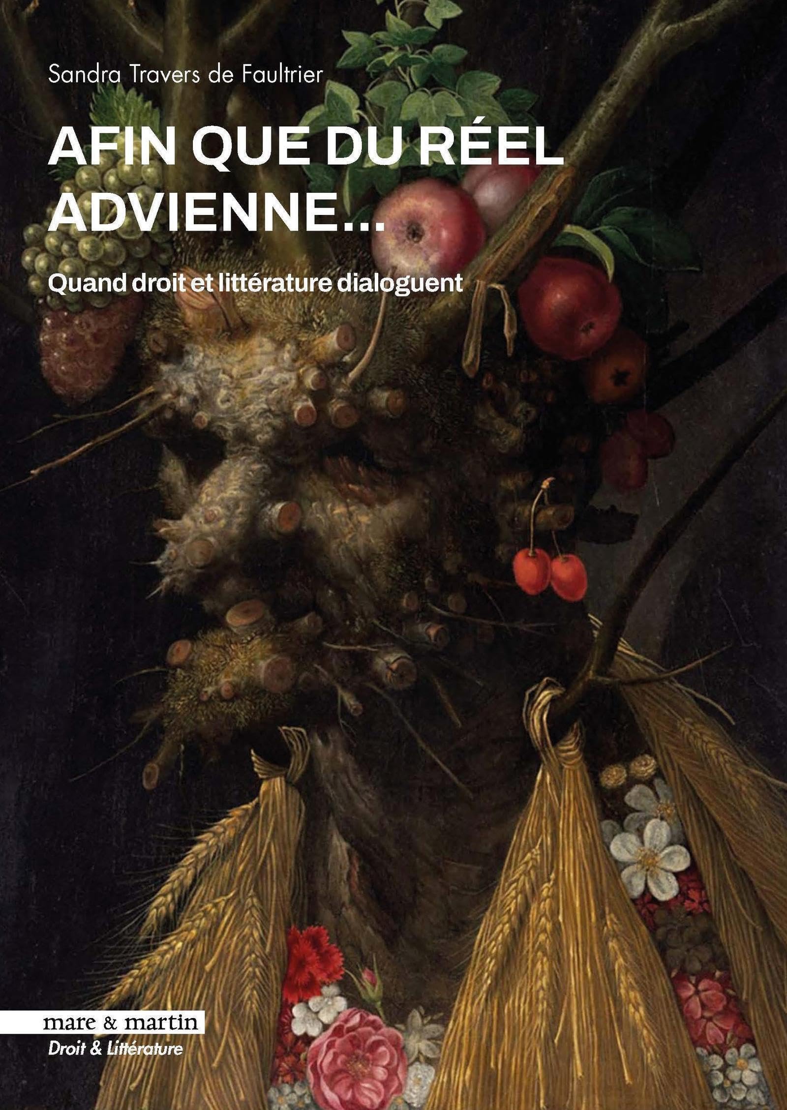 Afin que du réel advienne...: Quand droit et littérature dialoguent book