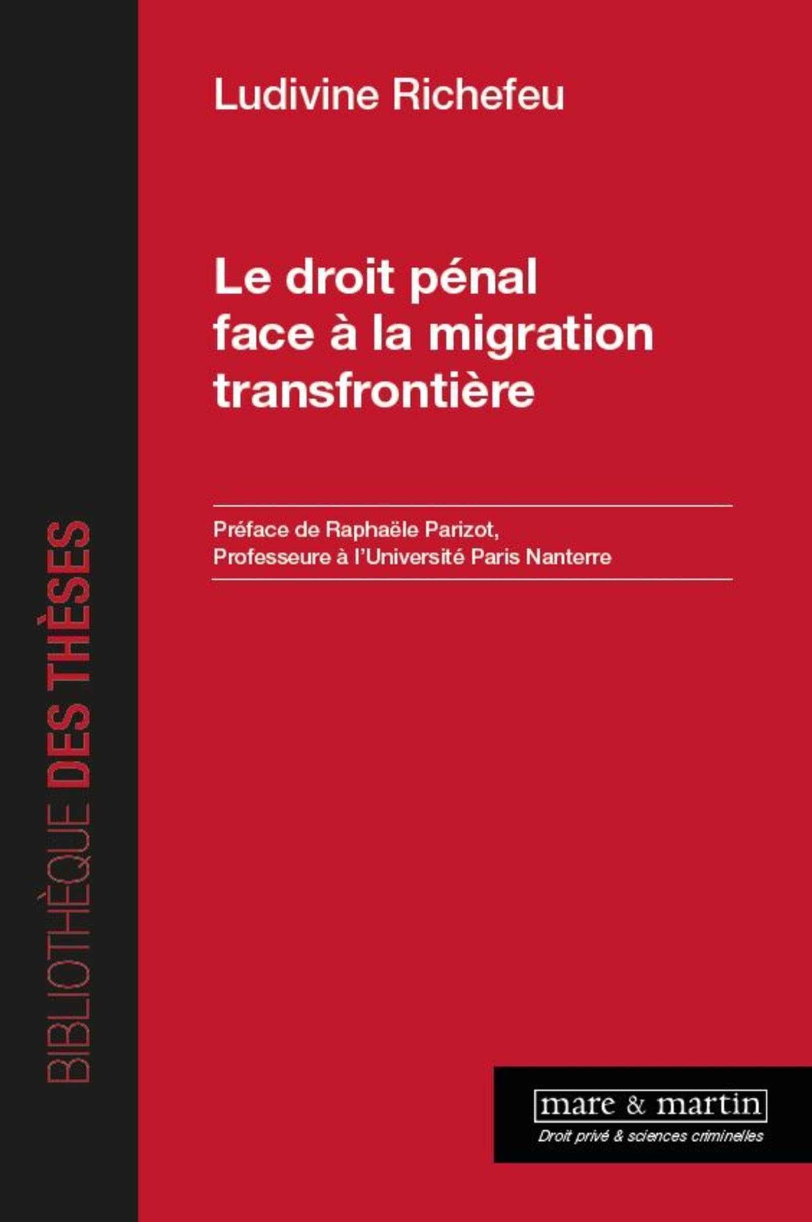 Le droit pénal face à la migration transfrontière: Préface de Raphaële Parizot, Professeure à l'Université Paris Nanterre book