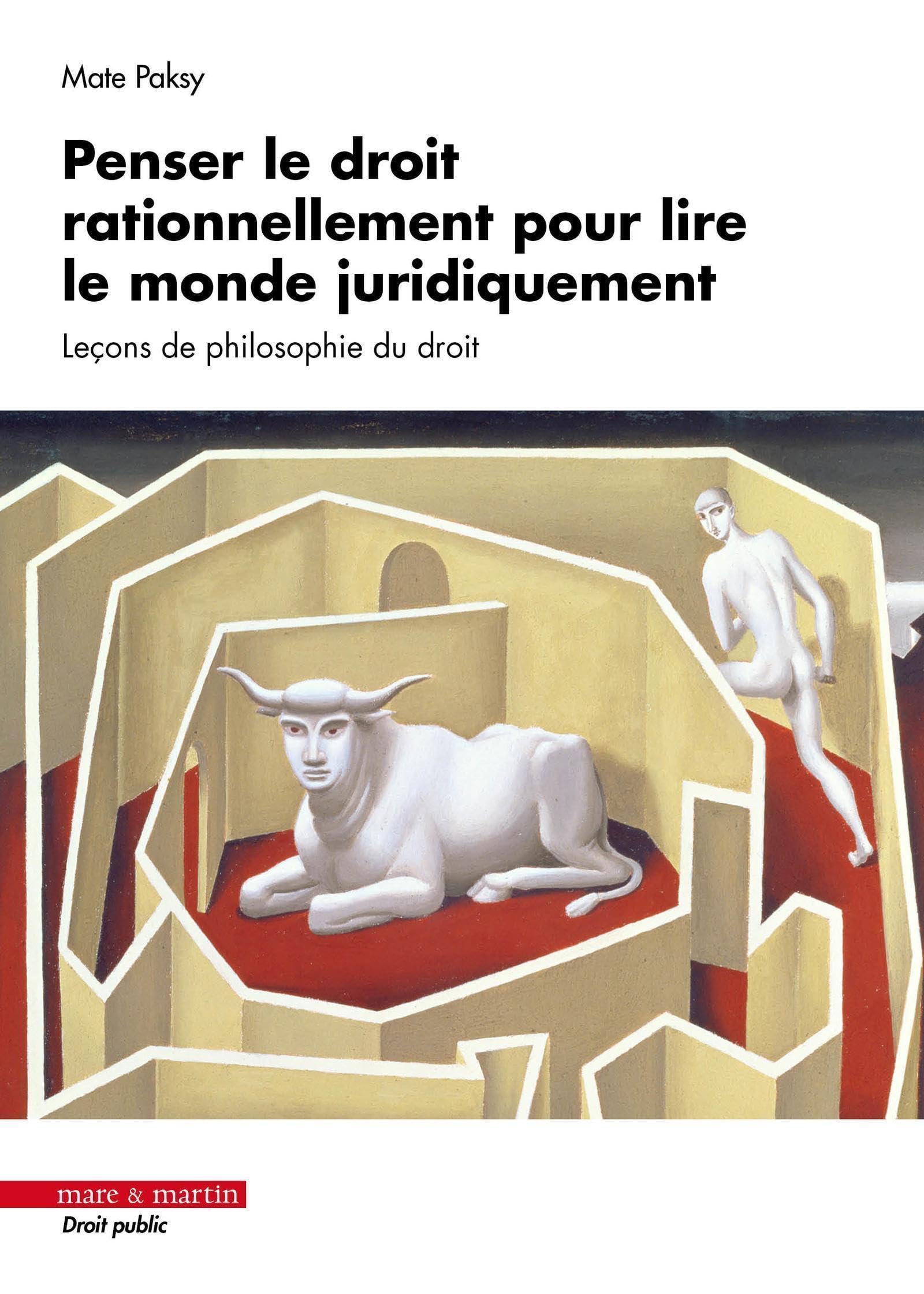 Penser le droit rationnellement pour lire le monde juridiquement. Leçons de philosophie du droit book