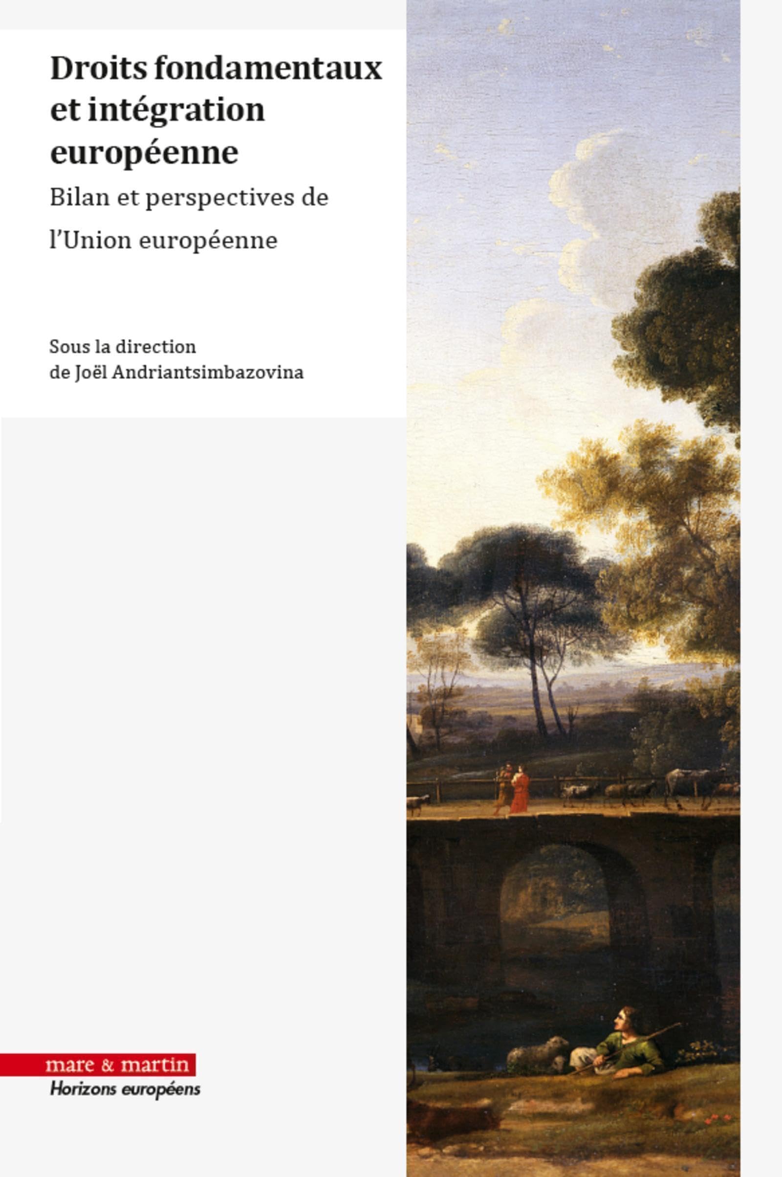 Droits fondamentaux et intégration européenne: Bilan et perspectives de l'Union européenne book