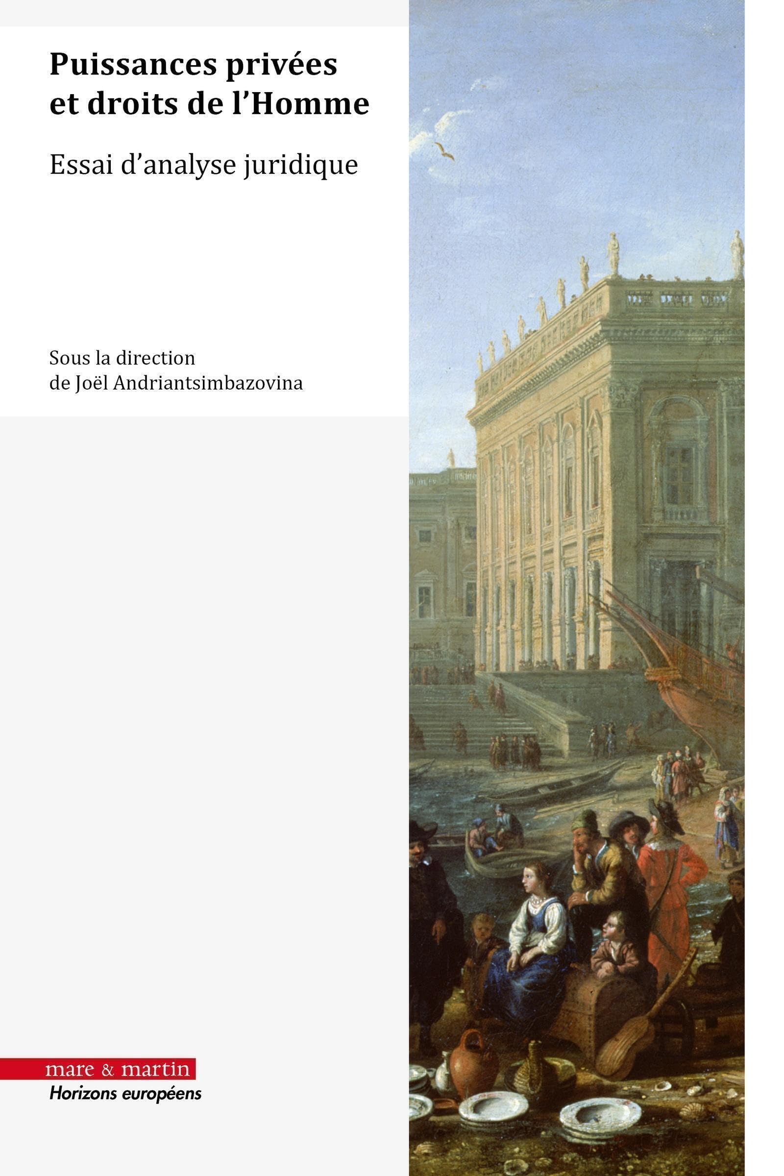 Puissances privées et droits de l'Homme: Essai d'analyse juridique book