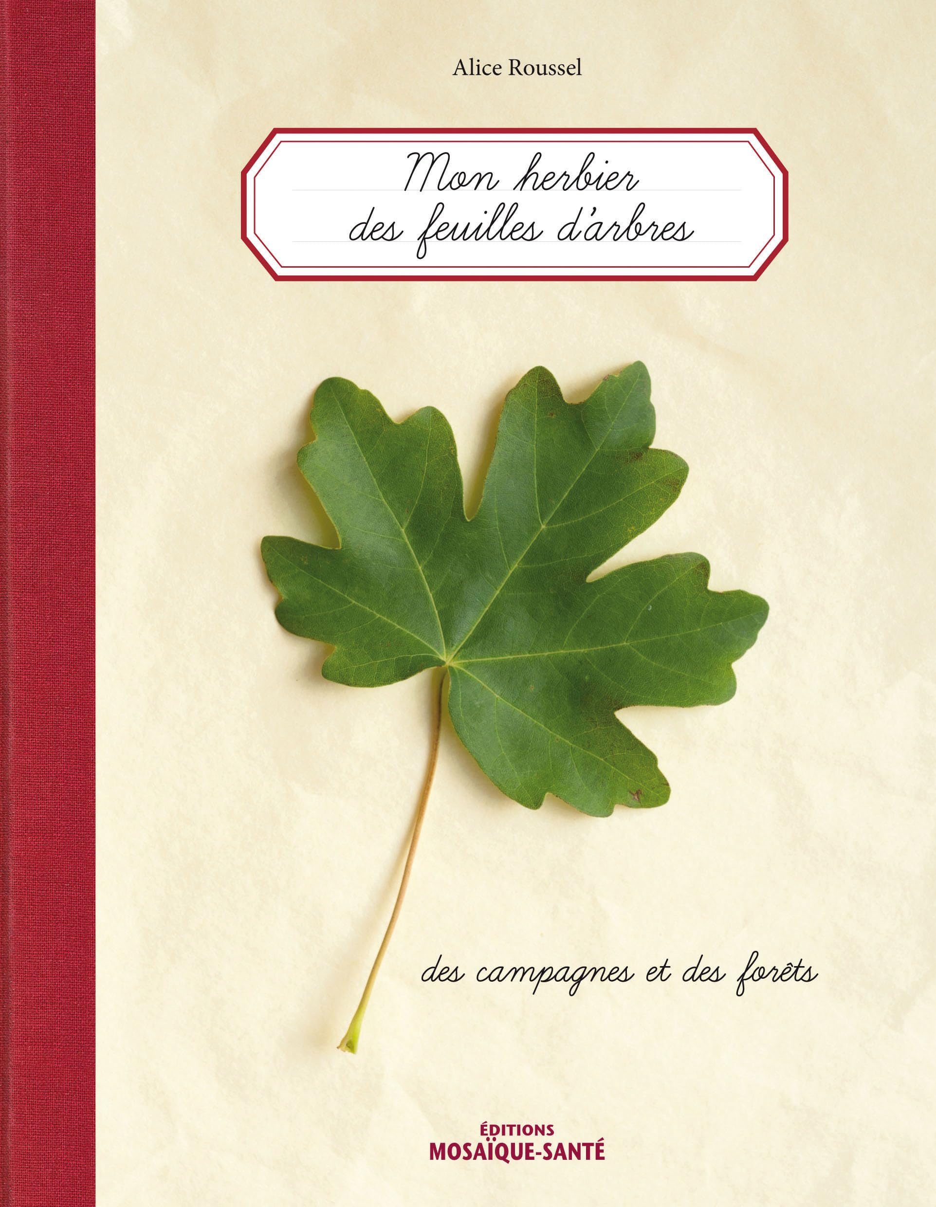 Herbier des feuilles d'arbres des campagnes et des forêts: des campagnes et des forêts Leisure, Home & Garden