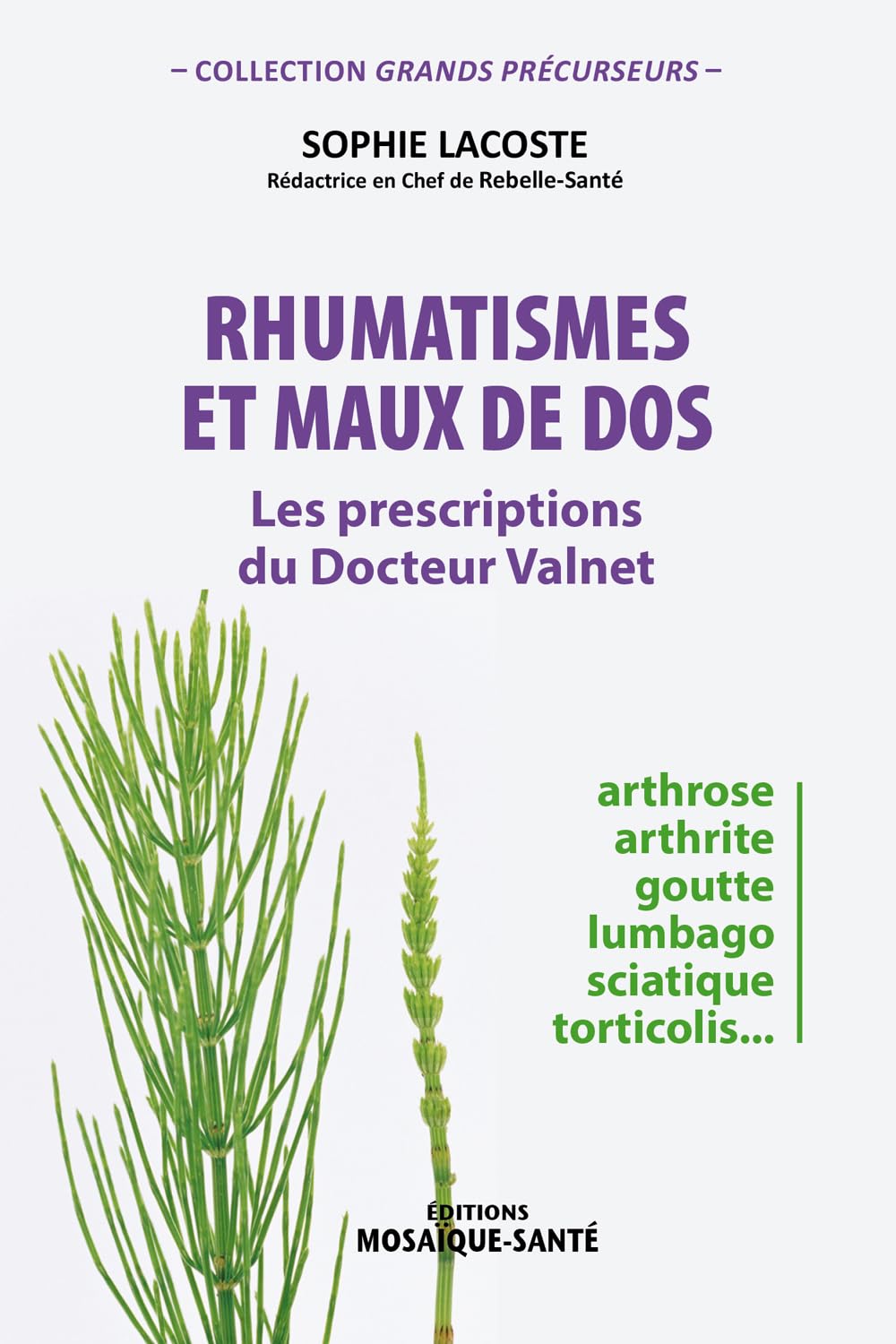 Rhumatismes et maux de dos: Les prescriptions du Docteur Valnet Books