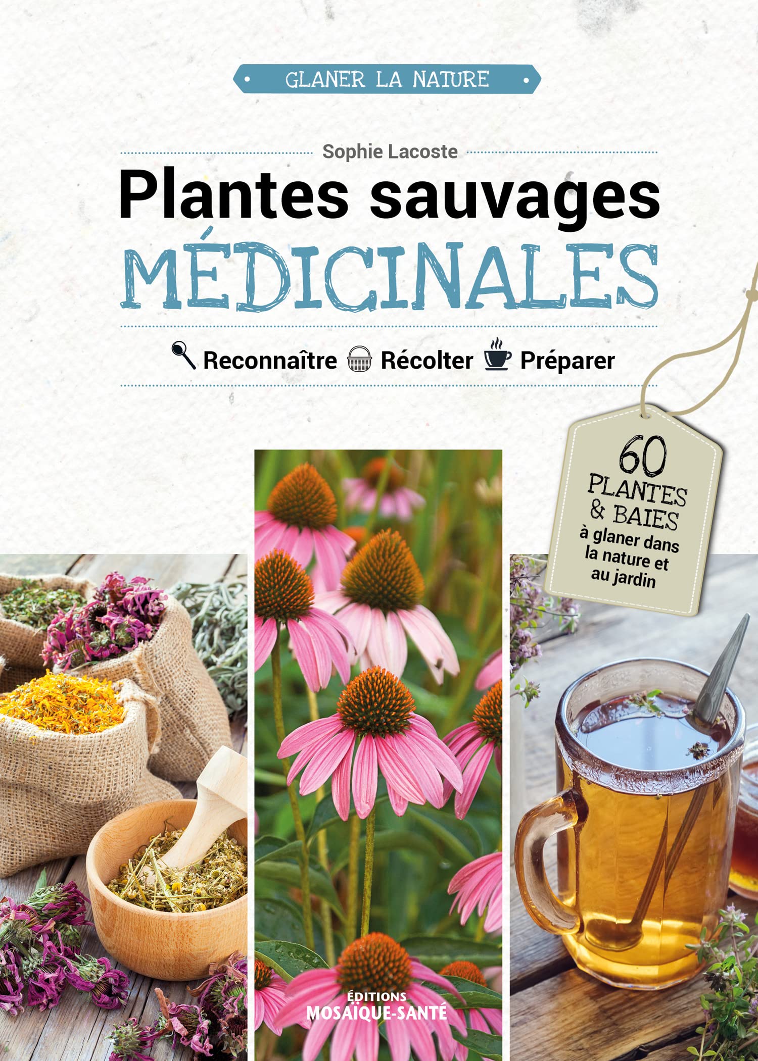 Plantes sauvages médicinales: Reconnaître, récolter, préparer Leisure, Home & Garden