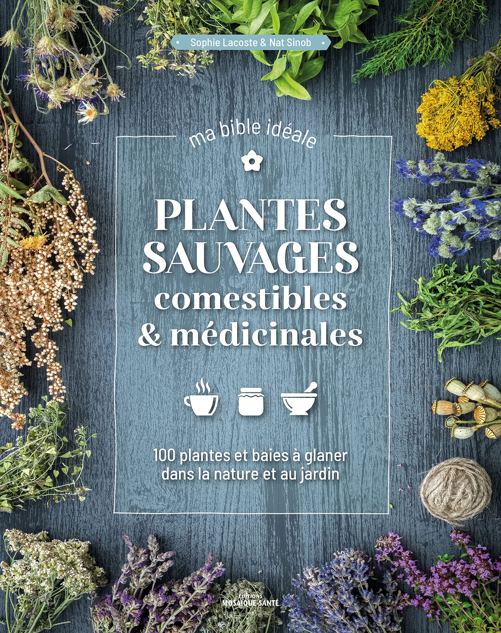 Plantes sauvages comestibles & médicinales, ma bible idéale: 100 plantes et baies à glaner dans la nature et au jardin Mathematics