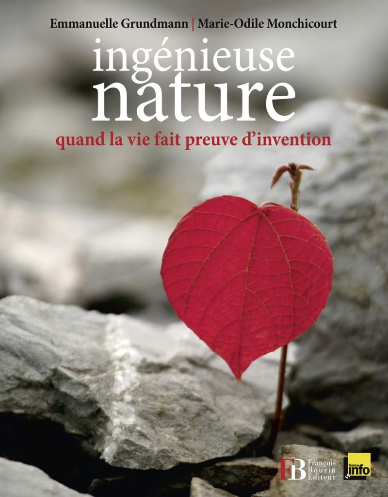 Ingénieuse nature - Quand la vie fait preuve d'invention Film, Art & Culture
