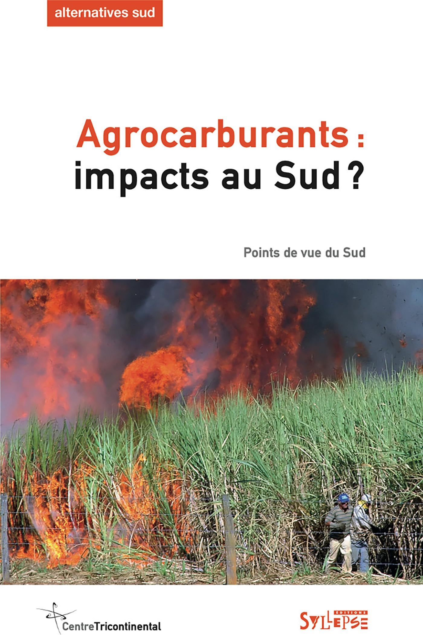 AGROCARBURANTS: IMPACTS AU SUD Politics & History