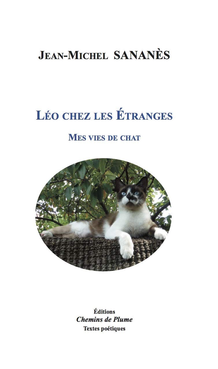 Léo chez les Étranges, mes vies de chat Contemporary literature