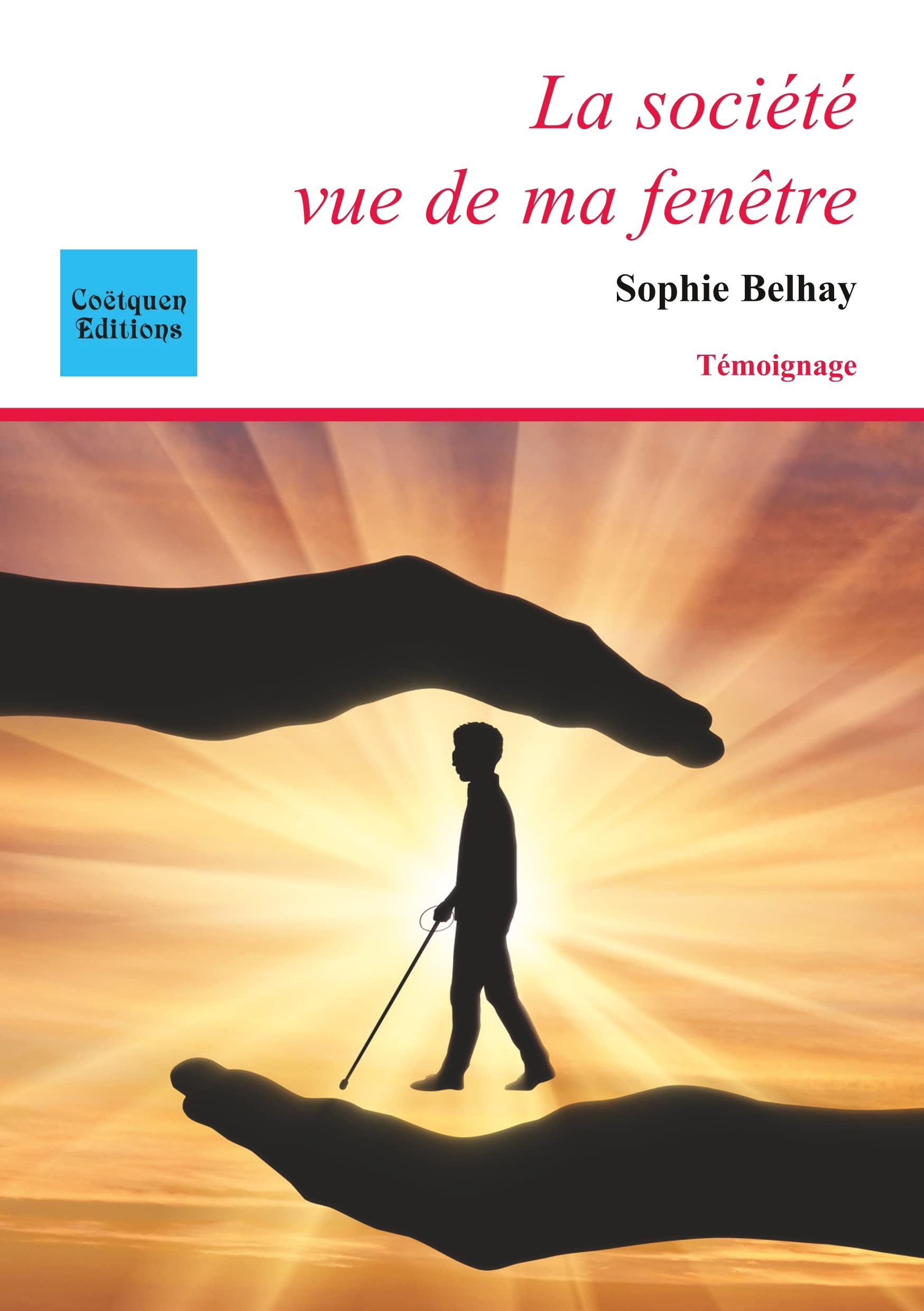 La société vue de ma fenêtre book