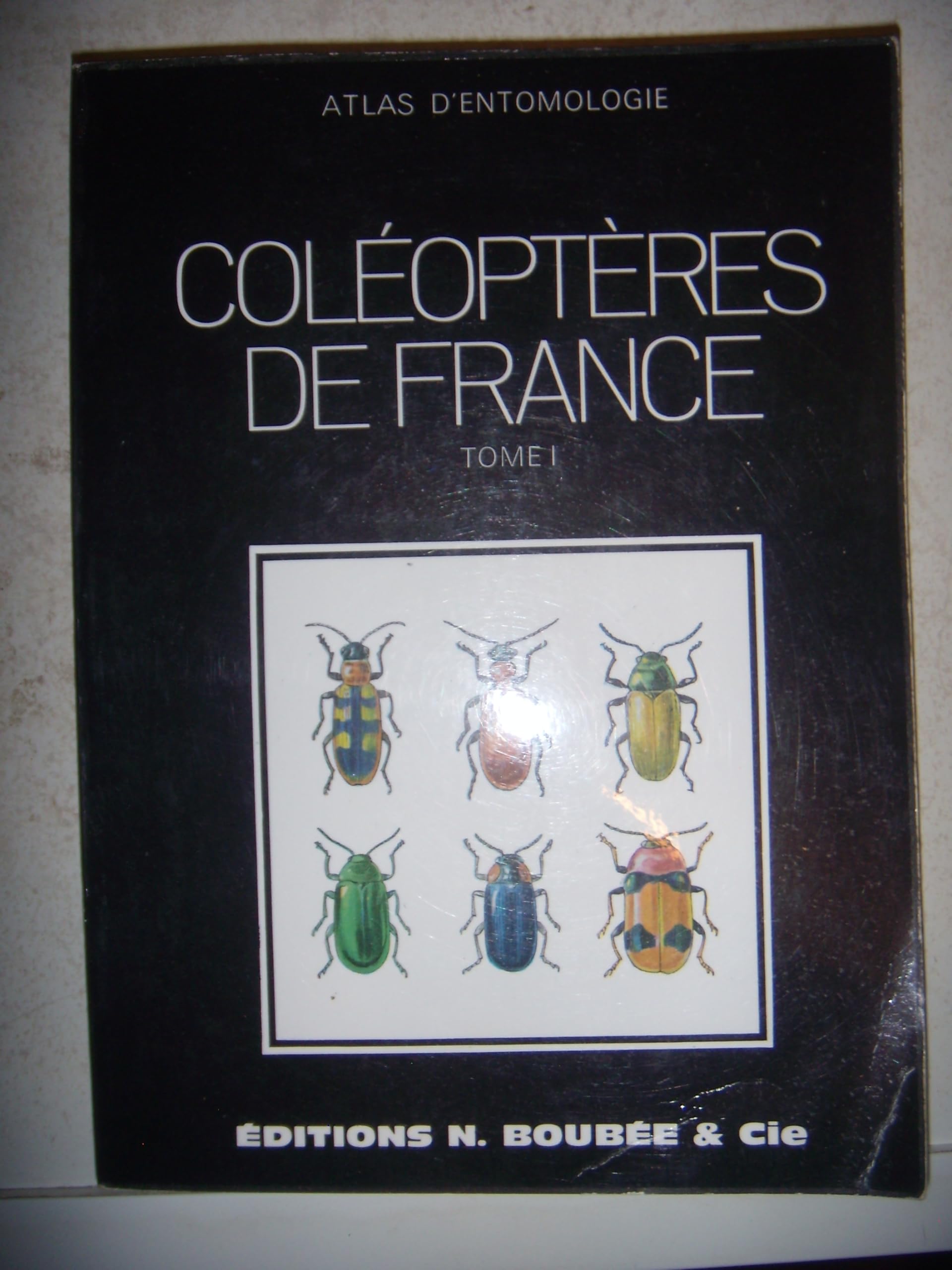 Atlas des coléoptères. Vol. 1 book