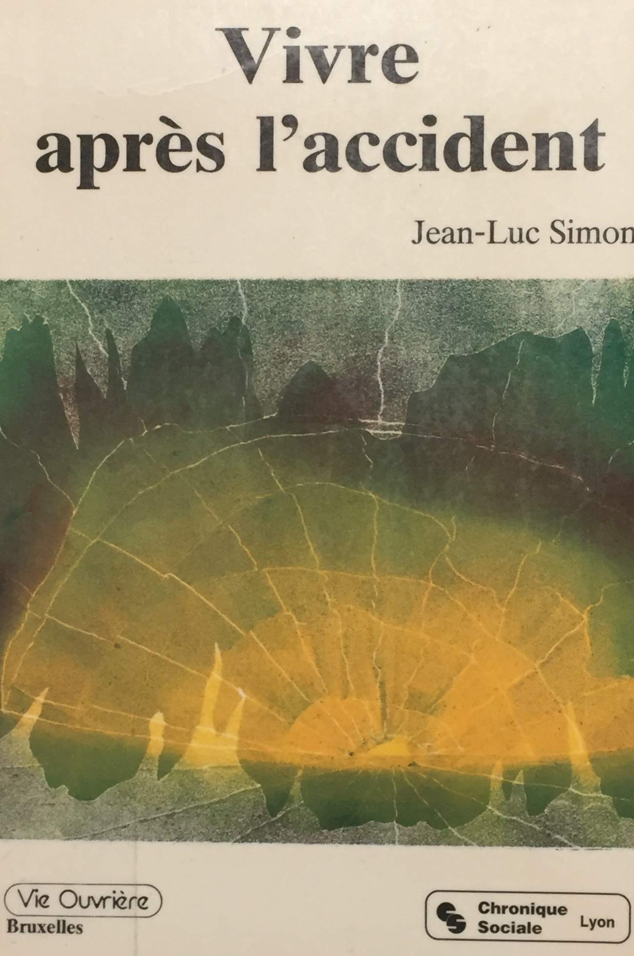 VIVRE APRES L'ACCIDENT.: Conséquences psychologiques d'un handicap physique Non-fiction books