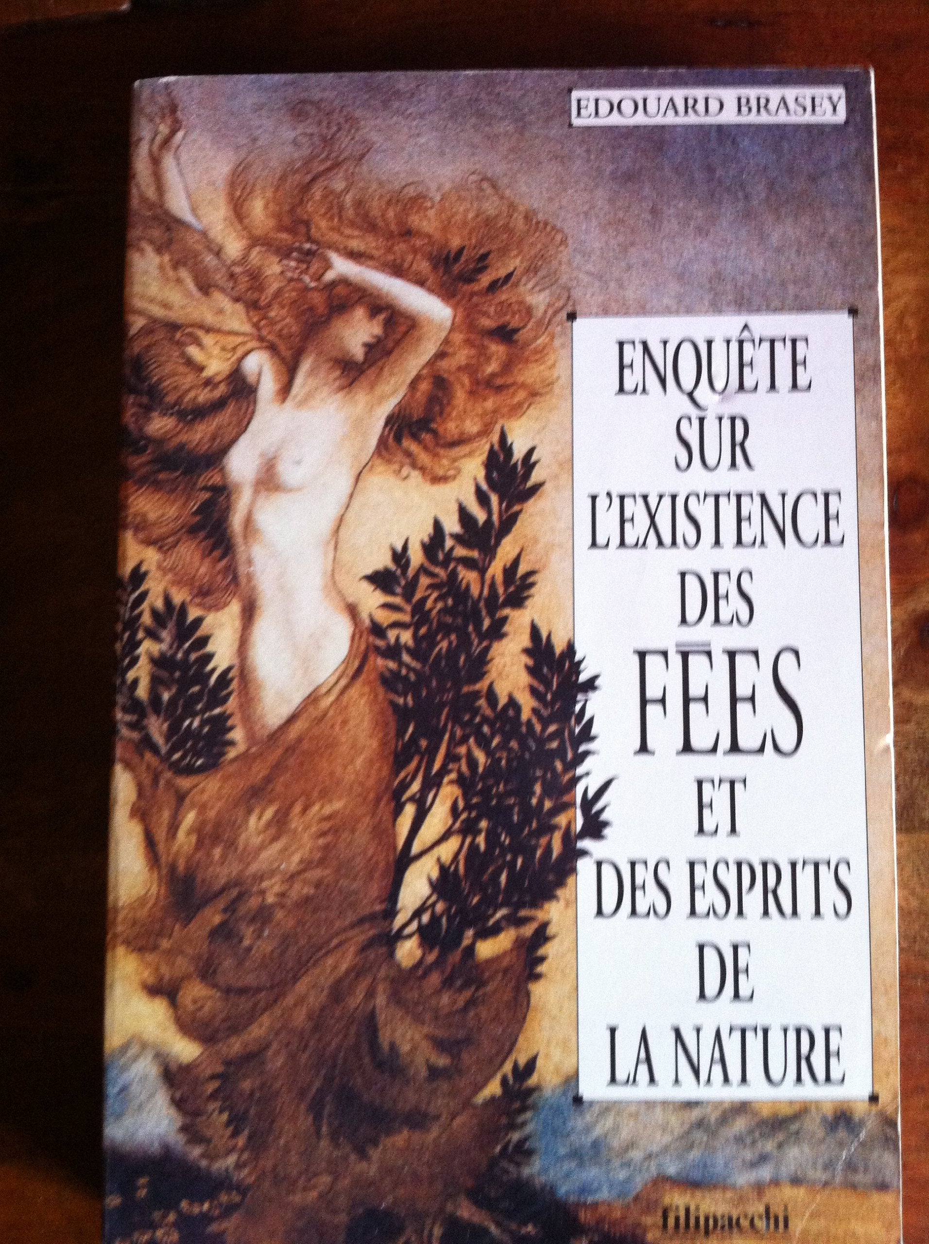 Enquête sur l'existence des fées et des esprits de la nature book