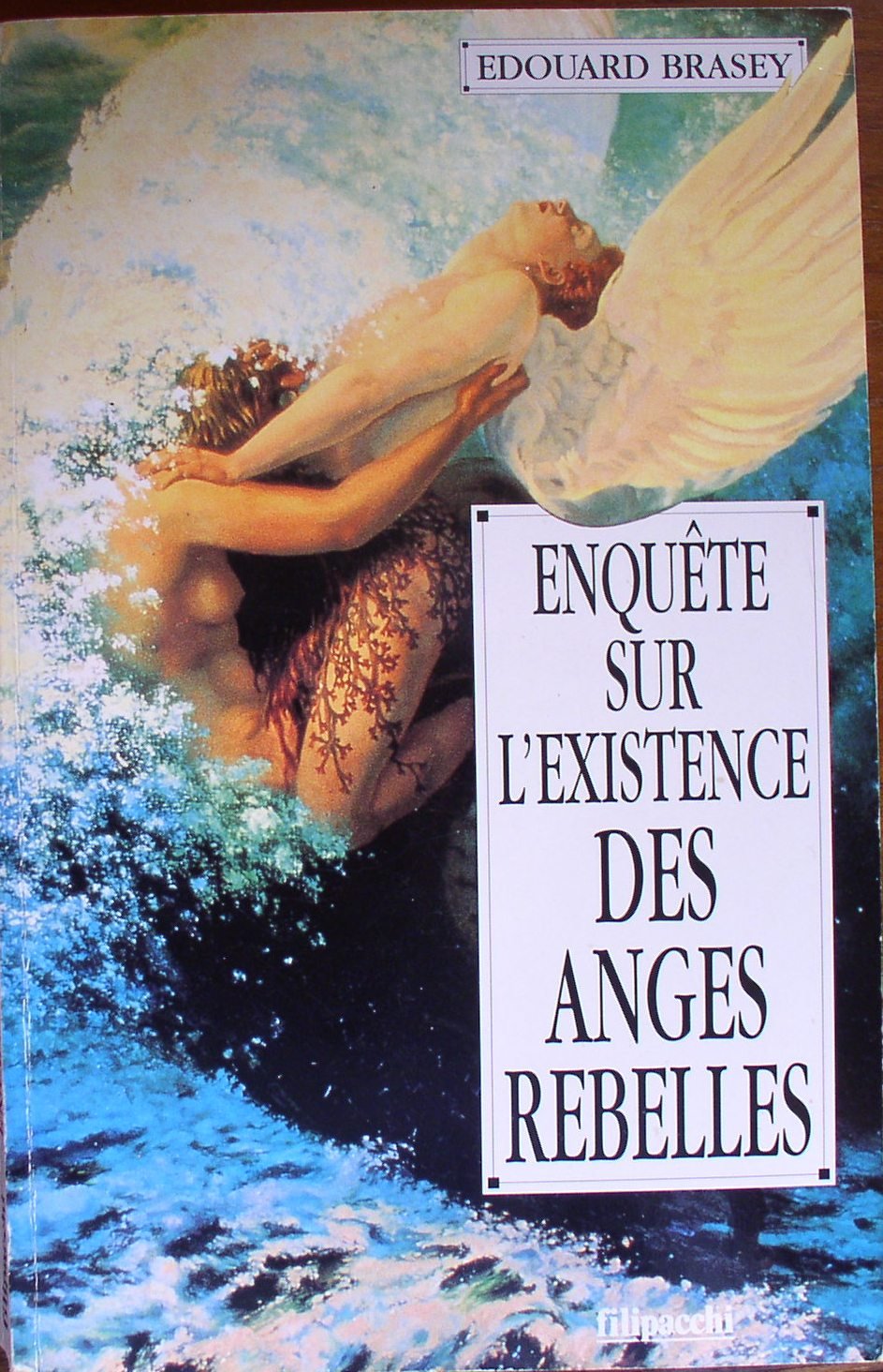 Enquête sur l'existence des anges rebelles Books