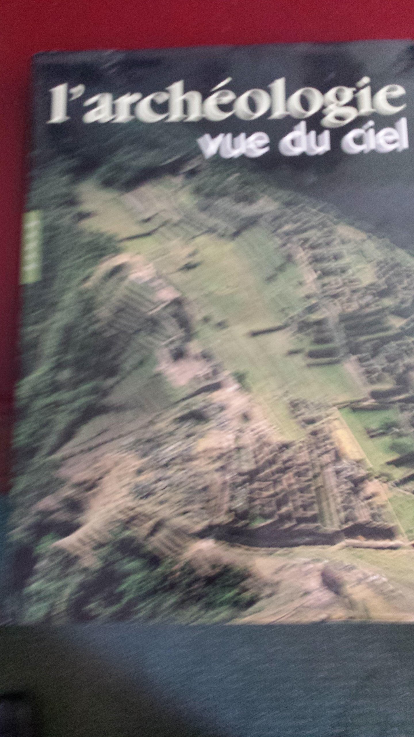L'Archéologie vue du ciel book