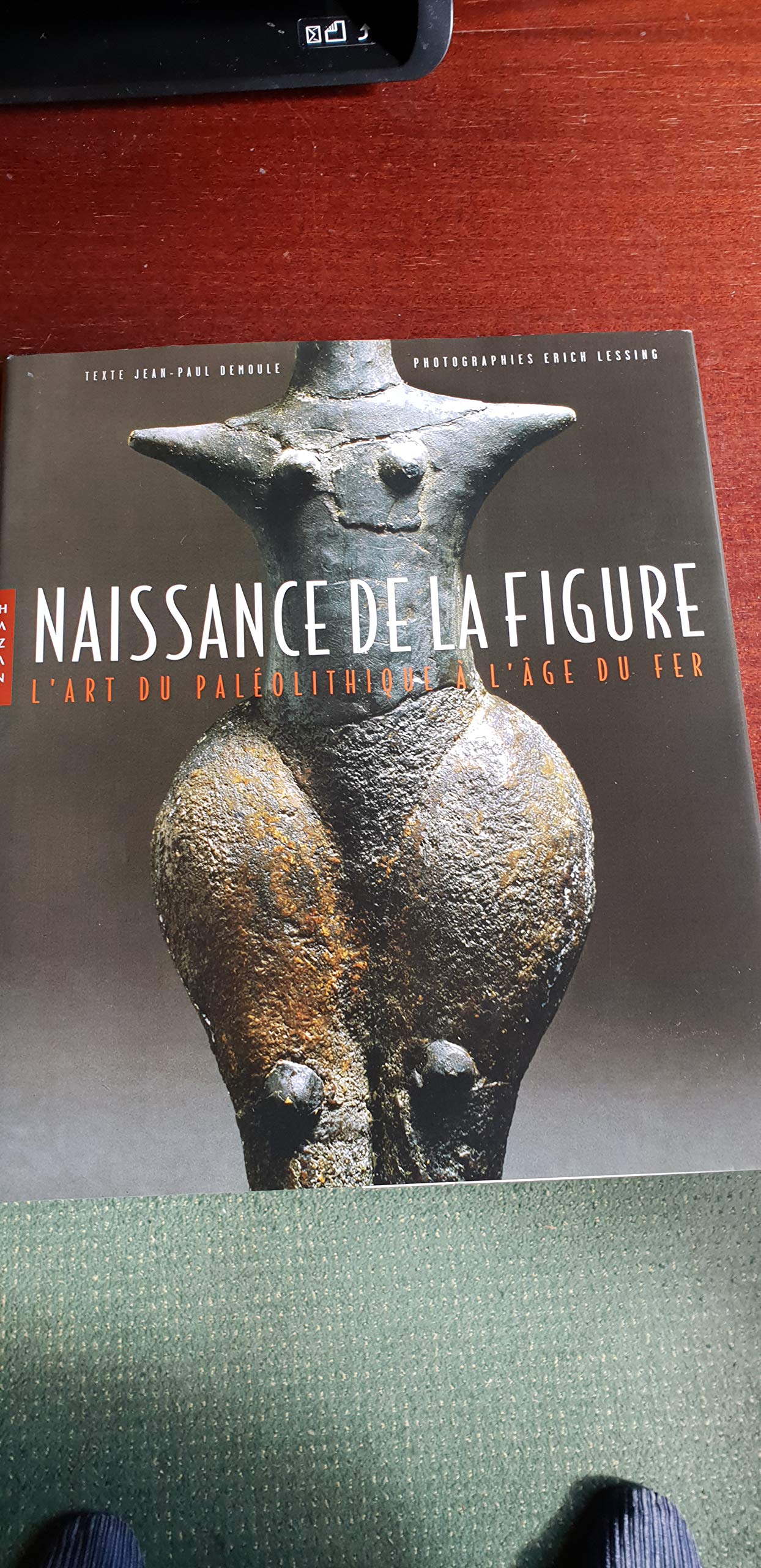 Naissance de la figure : L'art du paléolithique à l'âge du fer book