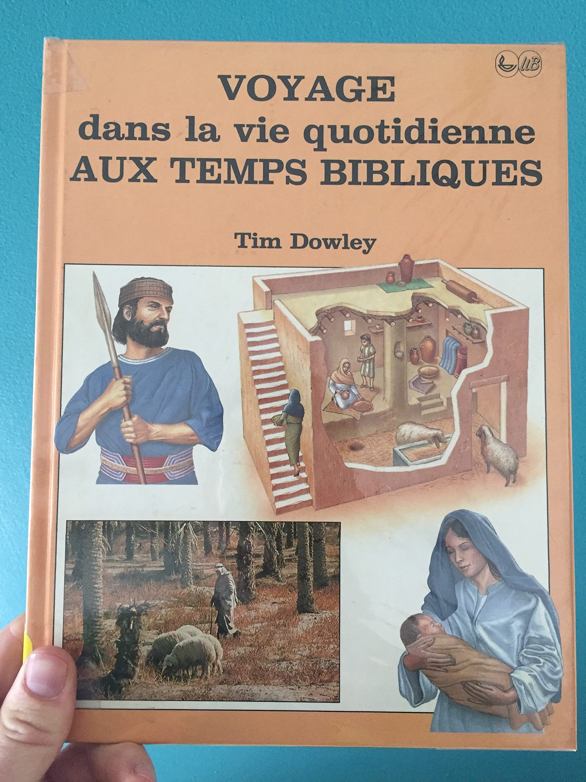 Voyage dans la vie quotidienne aux temps bibliques Books