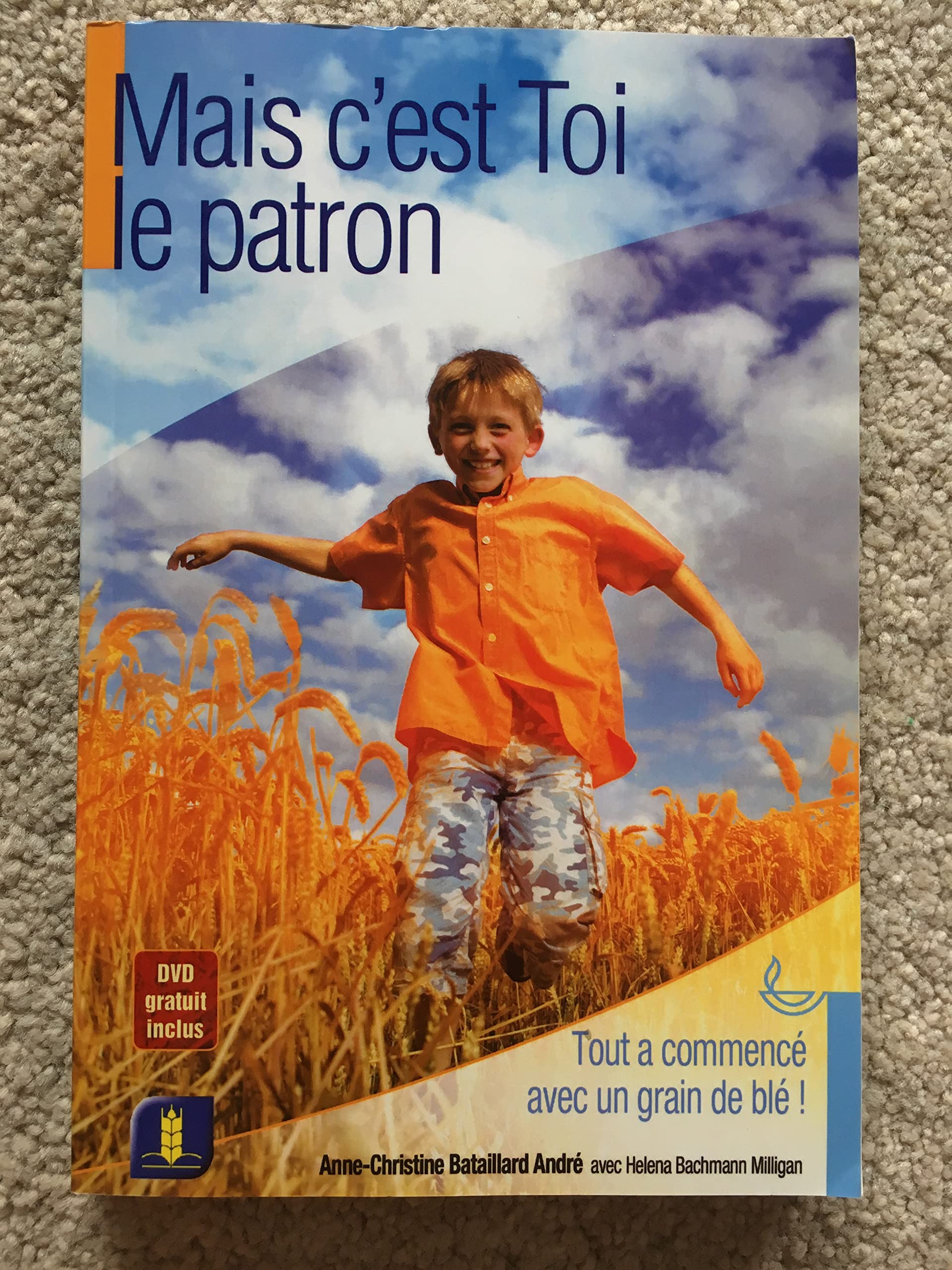Mais c'est Toi le patron book